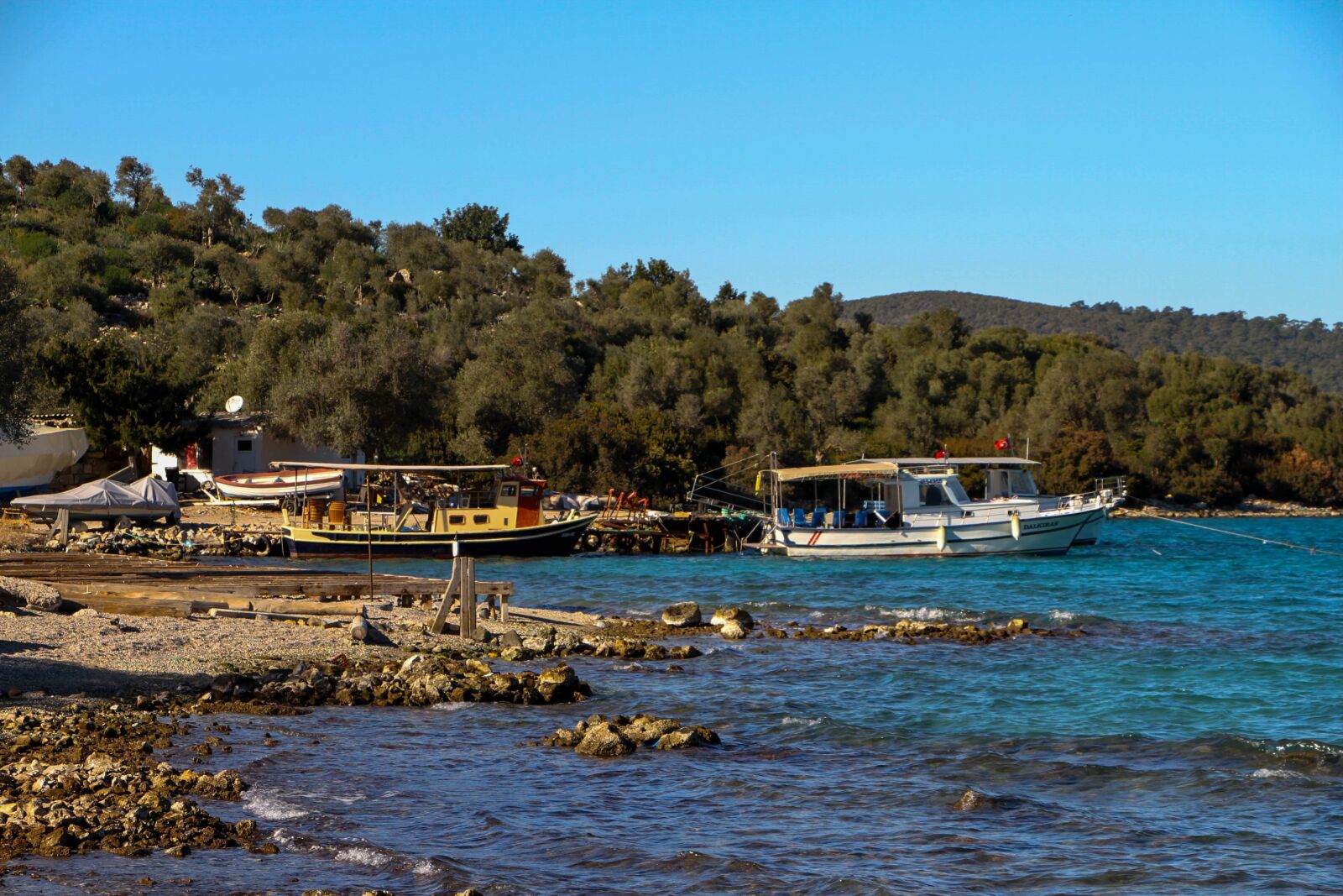 Canon EOS 7D sample photo. Marine, blue, nature photography