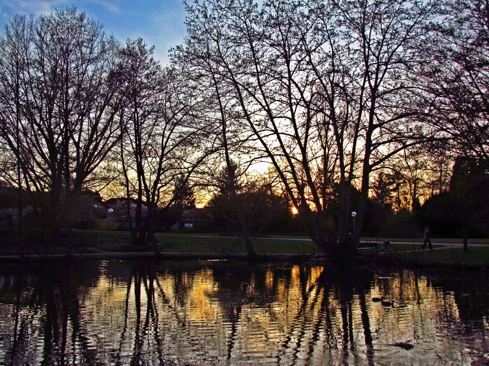 Canon PowerShot SX30 IS sample photo. Pond, water, tree photography