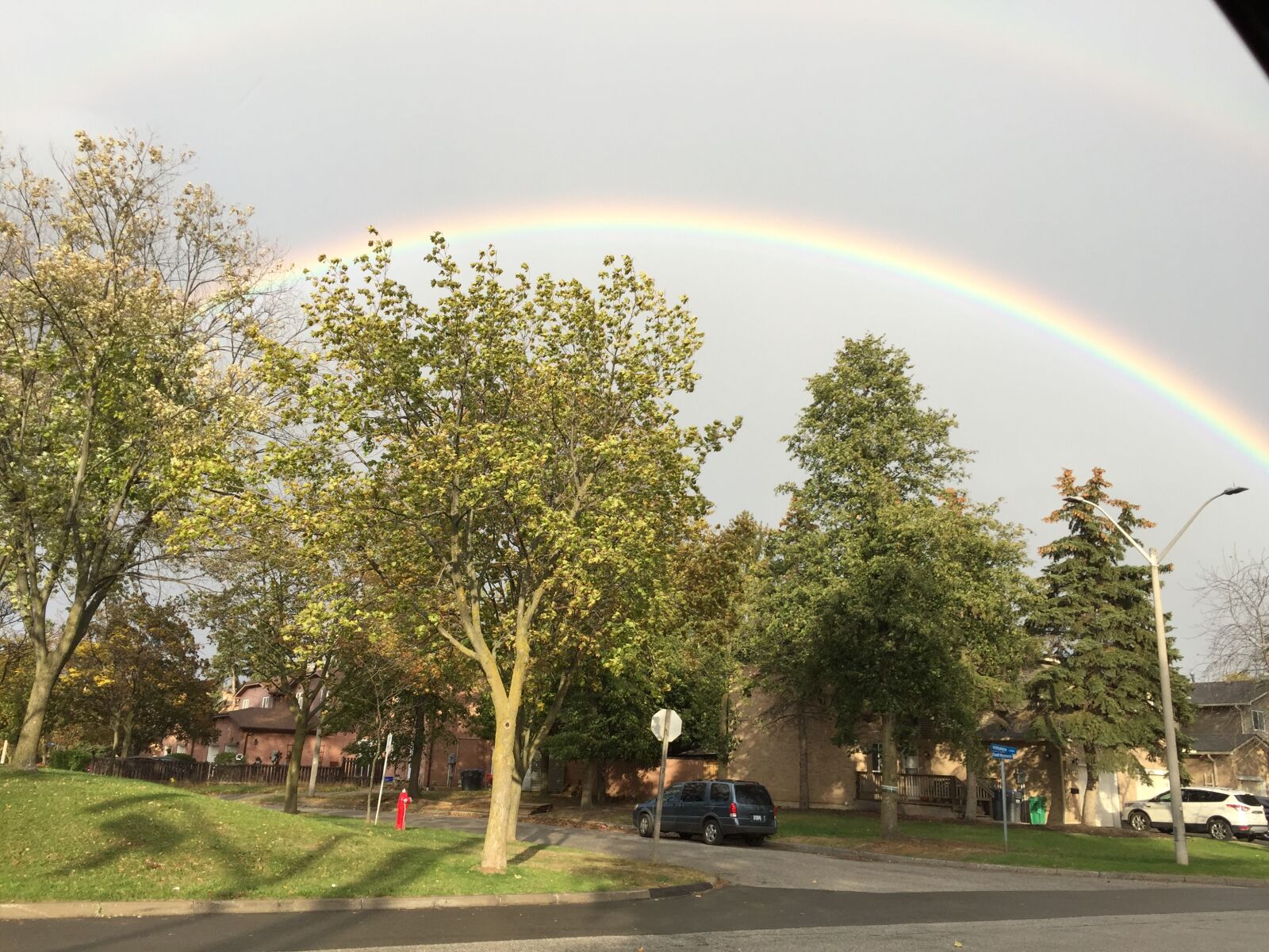 Apple iPhone 6 sample photo. Rainbow, tree, sky photography
