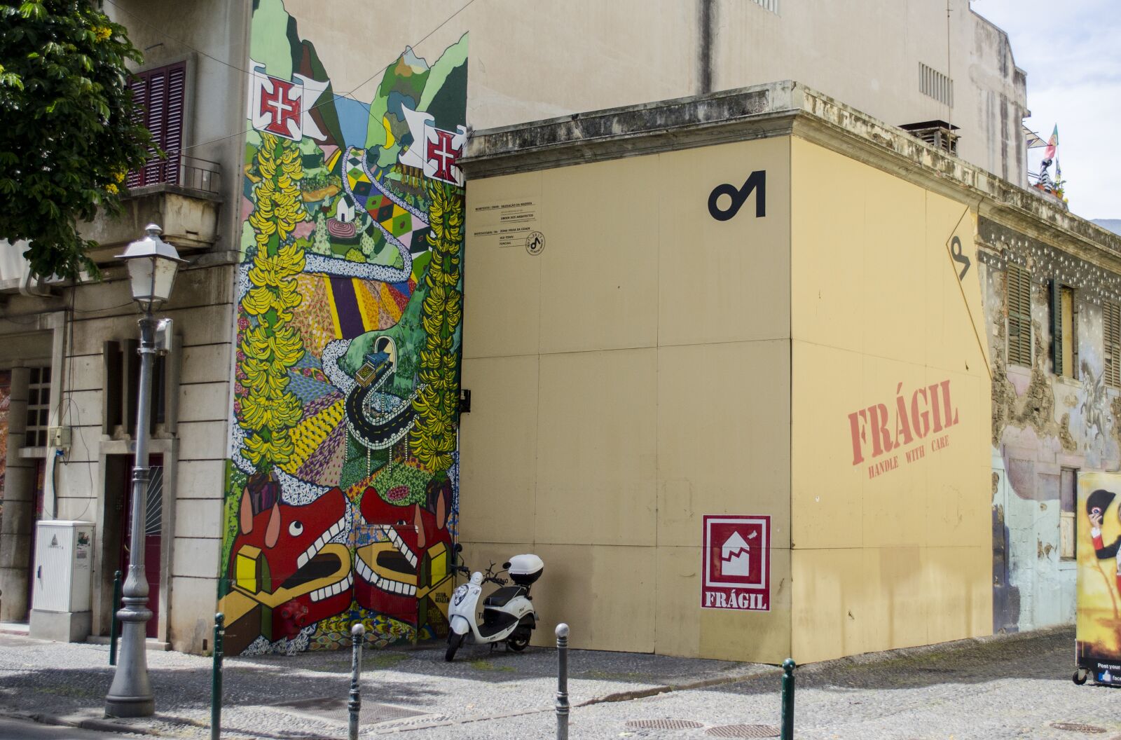 Nikon D5100 sample photo. Madera, funchal, portugal photography