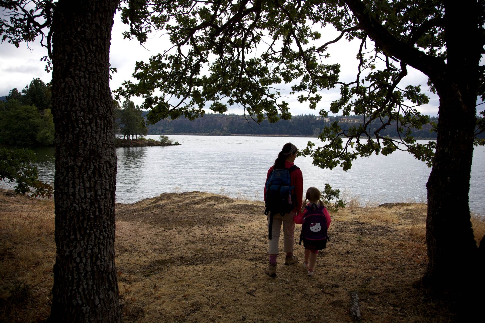 Canon EOS 5D Mark II sample photo. Family, nature, forest, dust photography