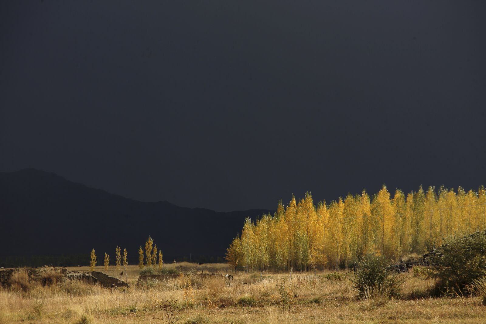 Canon EOS 5D Mark II sample photo. Prairie, dark clouds, autumn photography