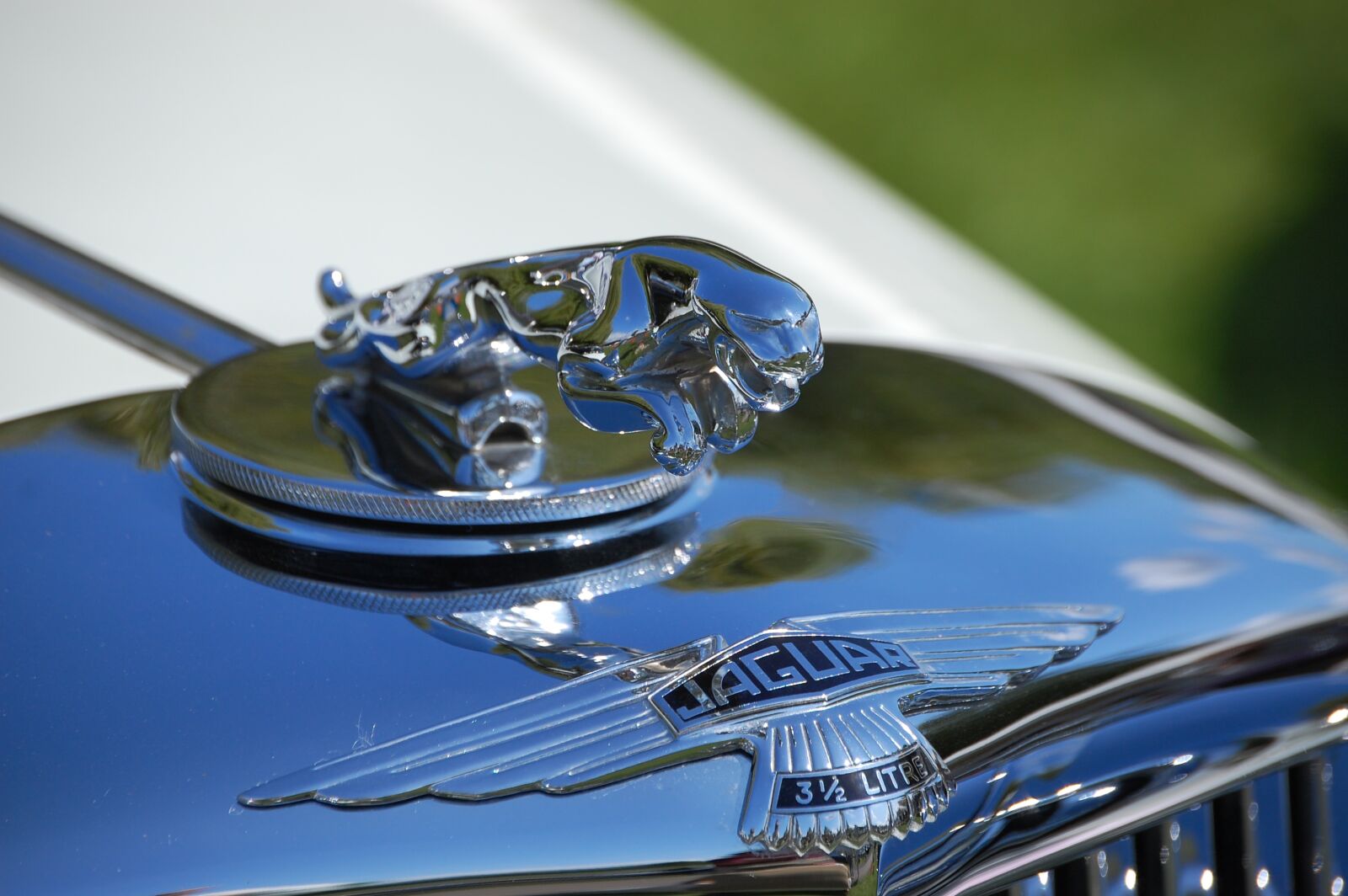 Nikon D40 sample photo. Jaguar, hood ornament, car photography