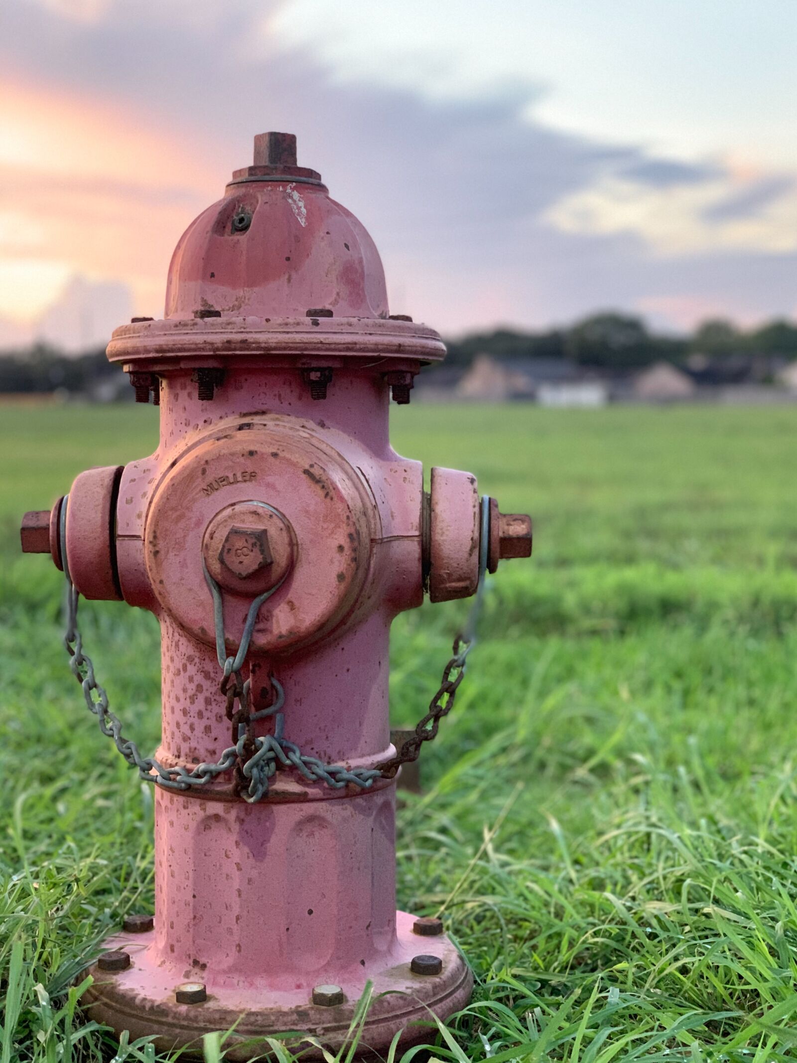 Apple iPhone XS Max + iPhone XS Max back dual camera 6mm f/2.4 sample photo. Hydrant, fire, sunset photography