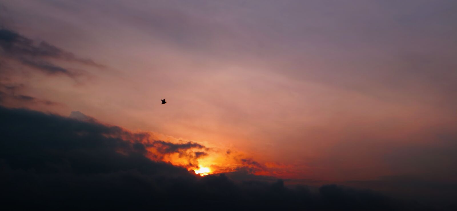 Canon EOS M3 sample photo. Close, the, sun photography