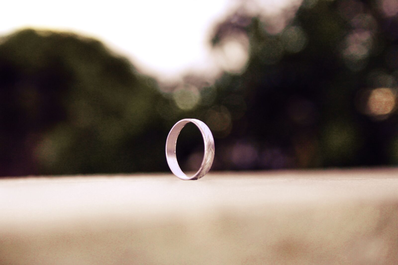 Canon EOS 500D (EOS Rebel T1i / EOS Kiss X3) sample photo. Ring, metal, round photography