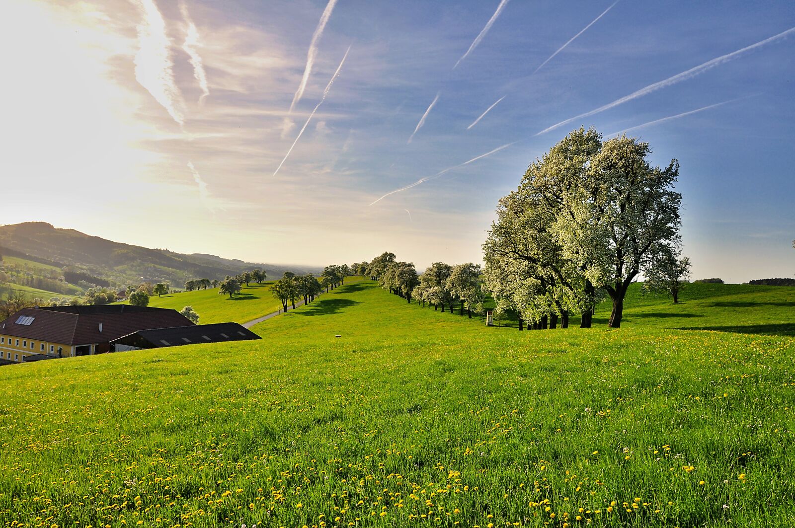 Nikon D90 sample photo. Nature, landscape, trees photography