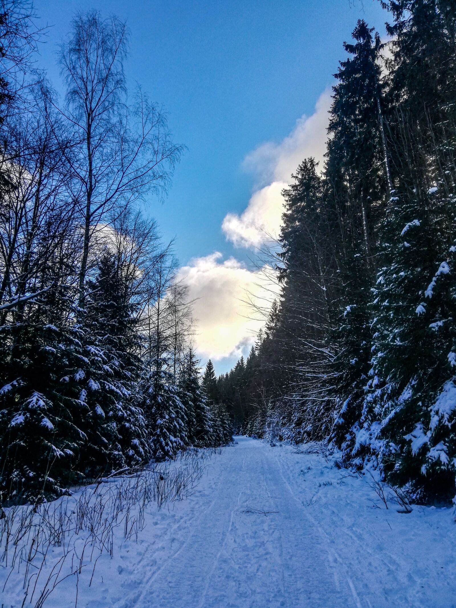 HUAWEI Mate 10 Lite sample photo. Harrachov, snow, winter photography