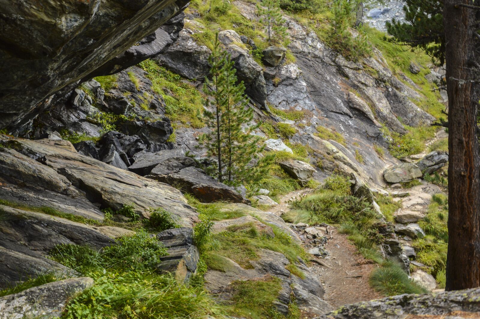 Nikon D3200 sample photo. Trail, hiking, swiss alps photography