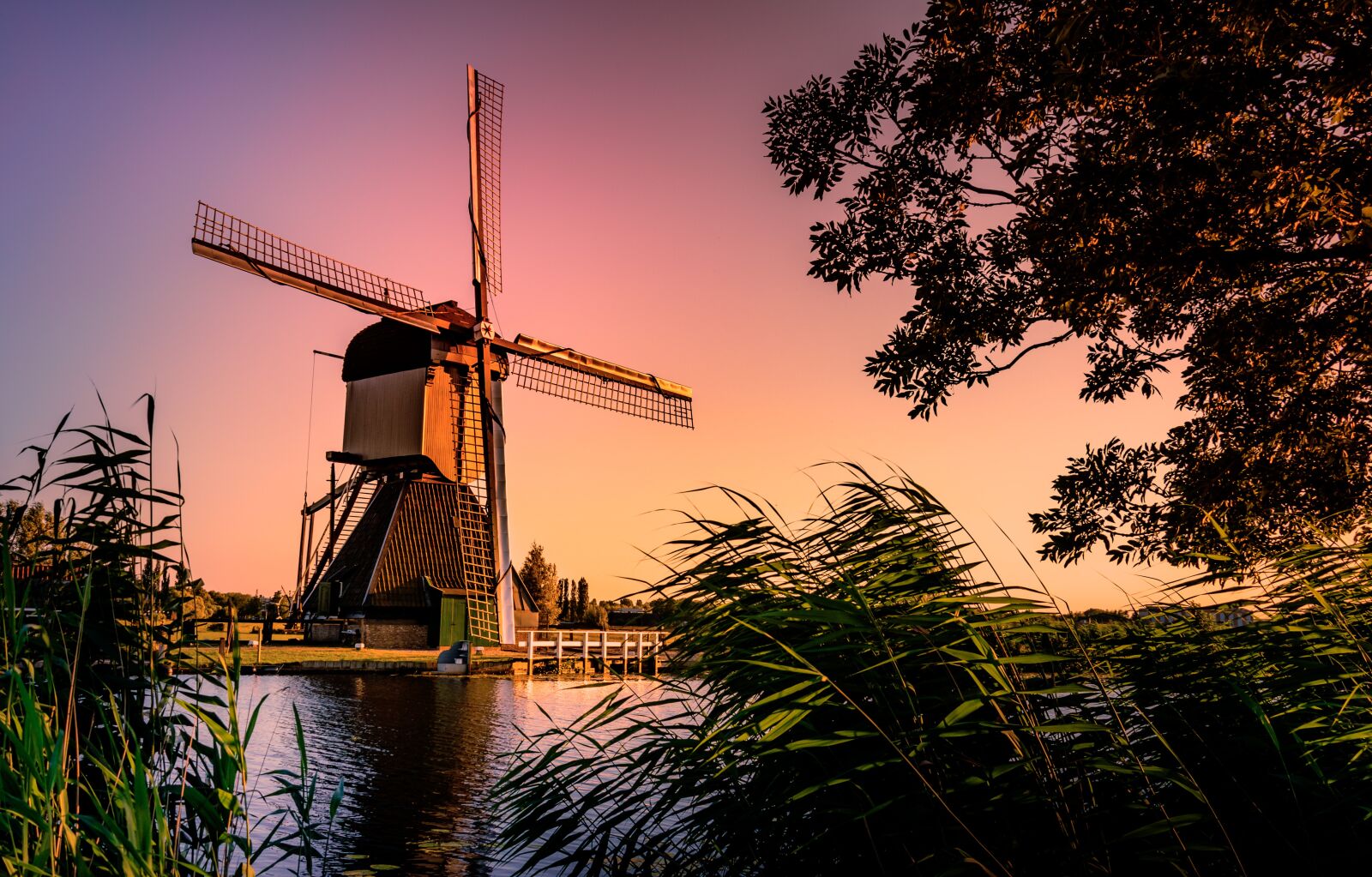 Nikon D5600 sample photo. Mill, netherlands, holland photography