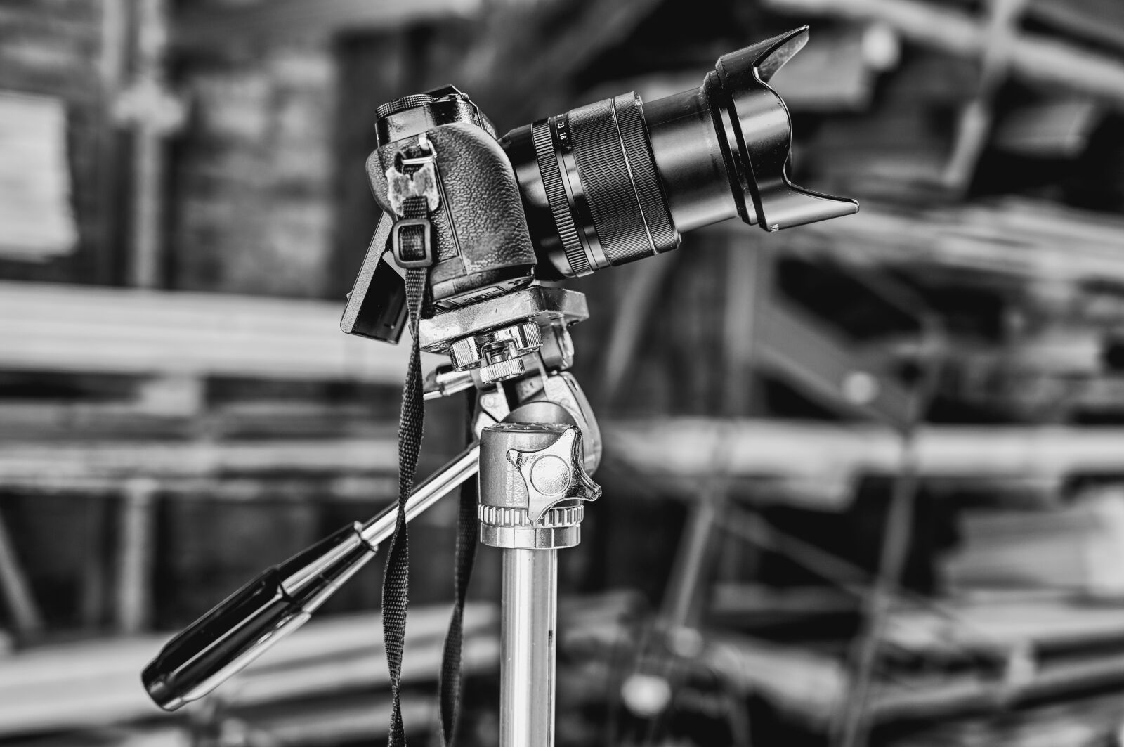 Nikon Z6 + Nikon Nikkor Z 24-70mm F4 S sample photo. Camera, tripod, photograph photography