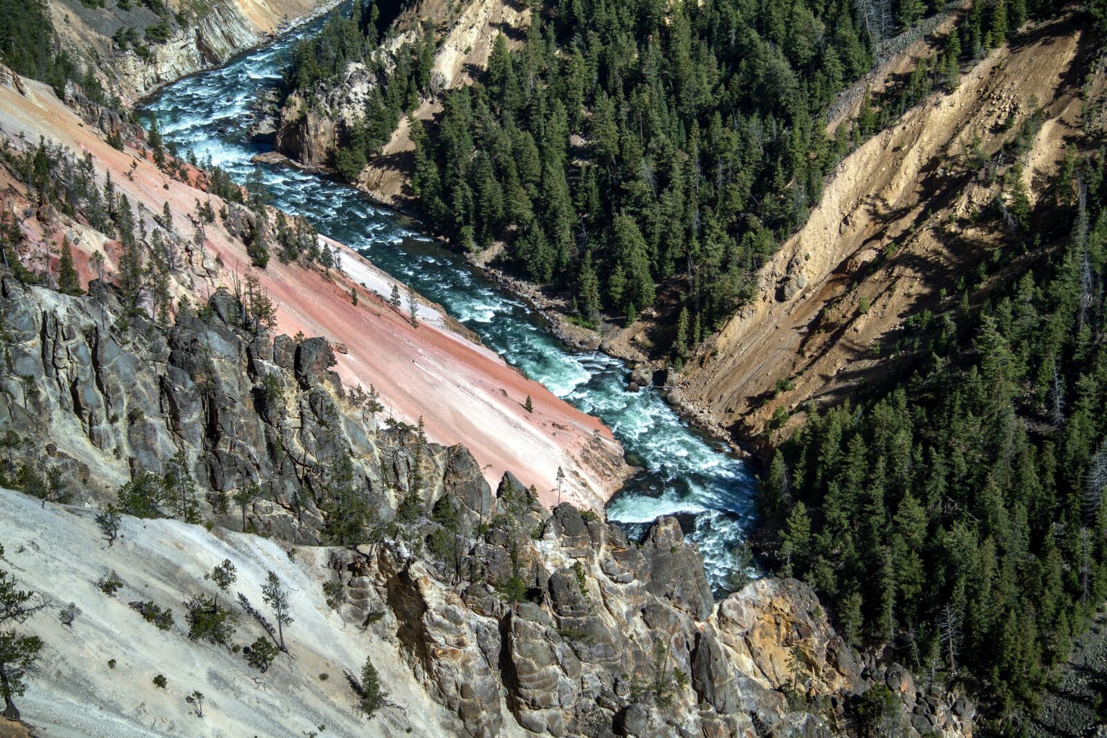 Canon EOS 7D sample photo. Yellowstone national park, wyoming photography