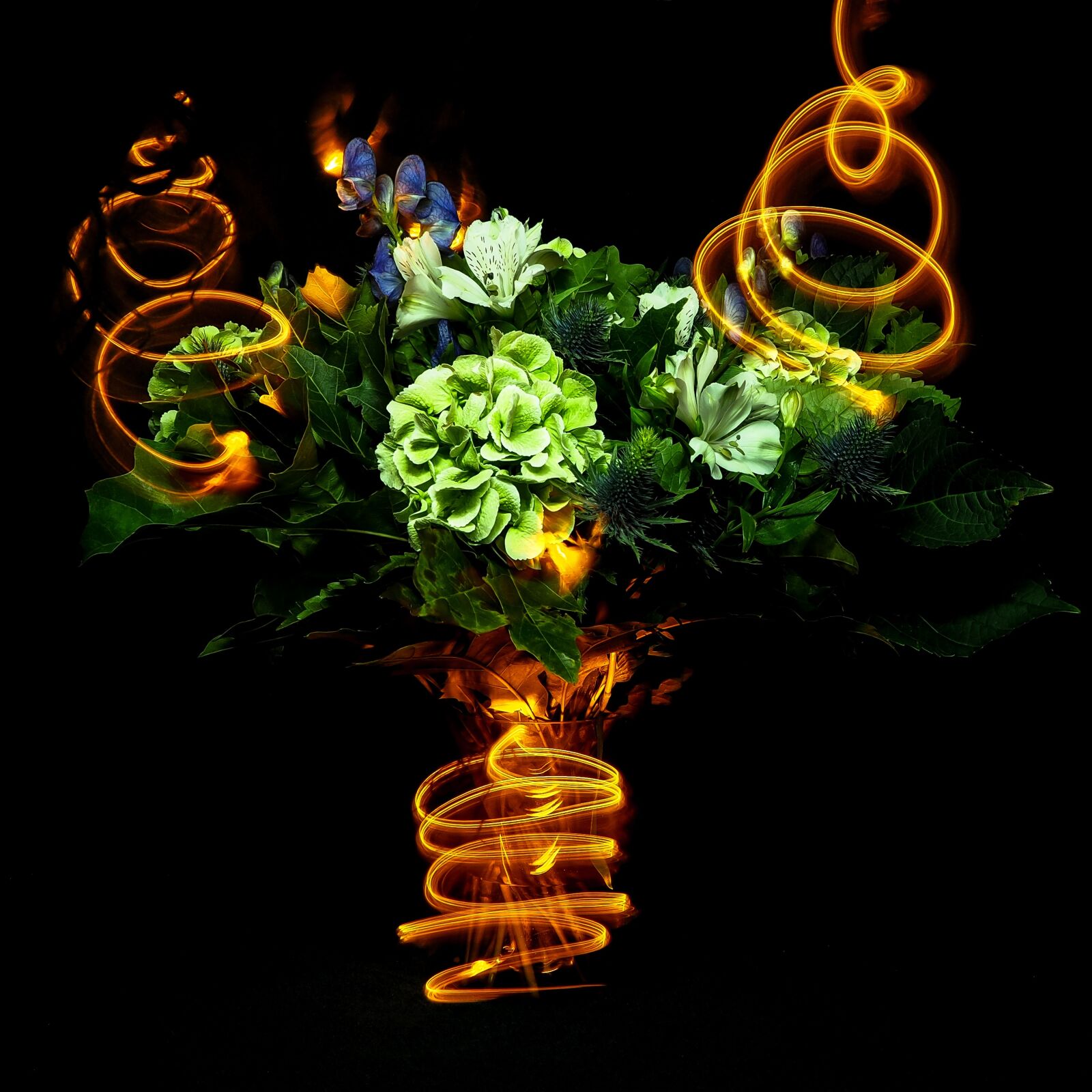 Olympus OM-D E-M10 sample photo. Lightpainting, flowers, party photography