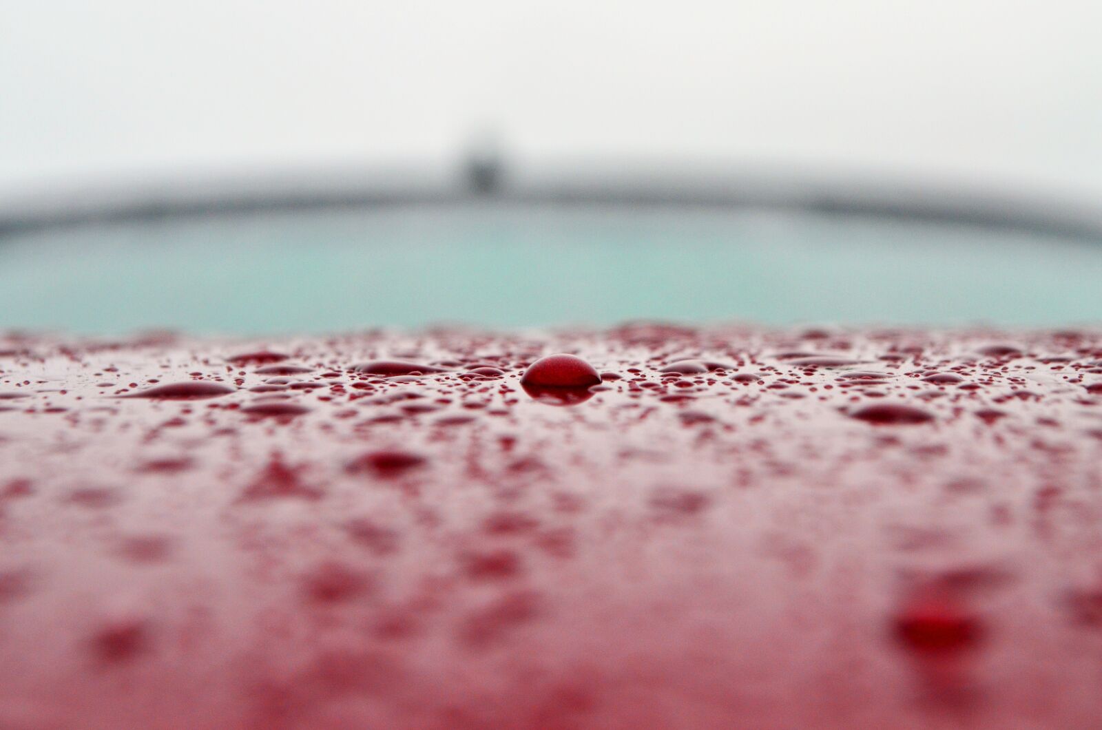 Nikon D5100 sample photo. Auto, hood, drops photography