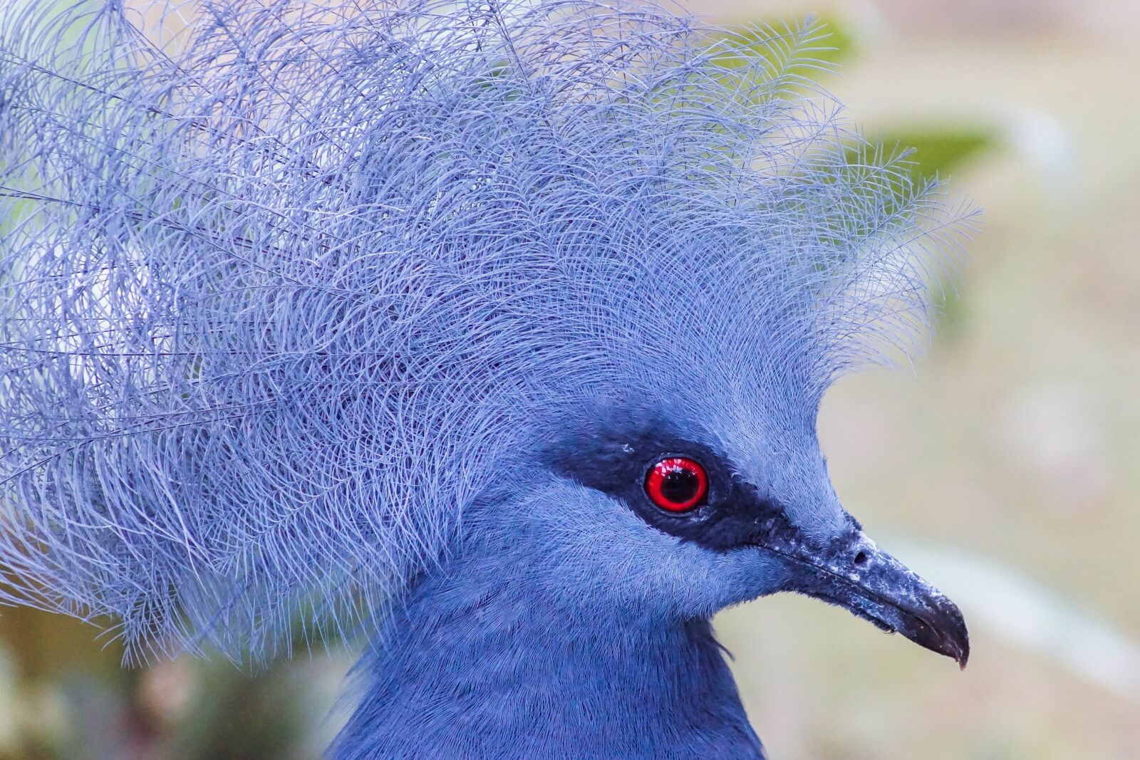 Sony ILCA-77M2 sample photo. Nature, bird, wildlife photography