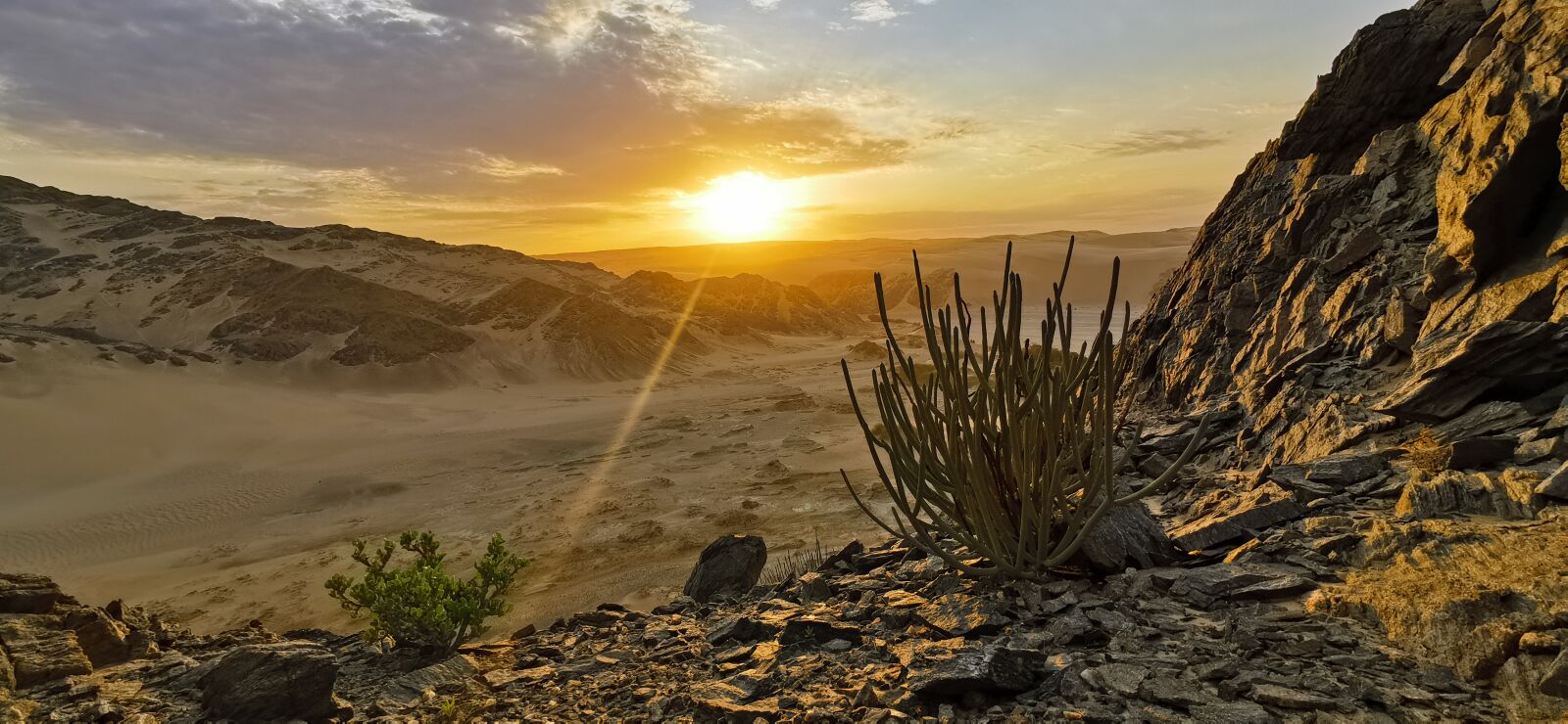 HUAWEI P30 Pro sample photo. Africa, namibia, skeleton coast photography