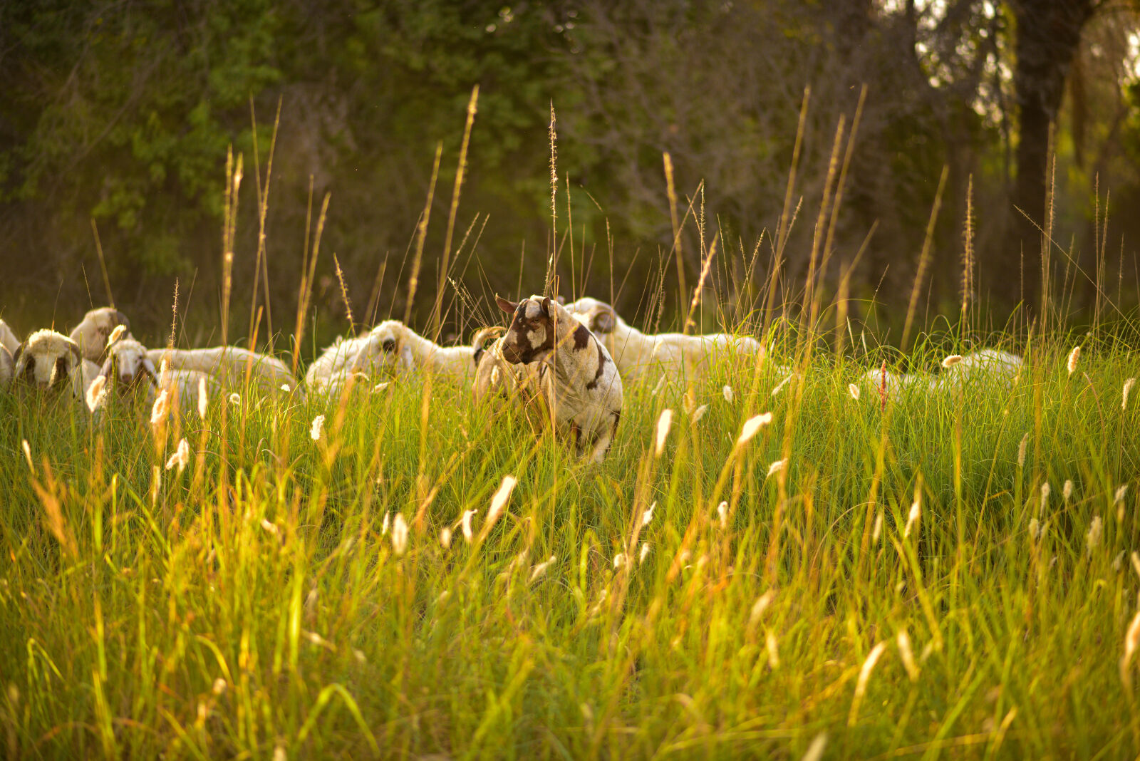 Nikon D810 sample photo