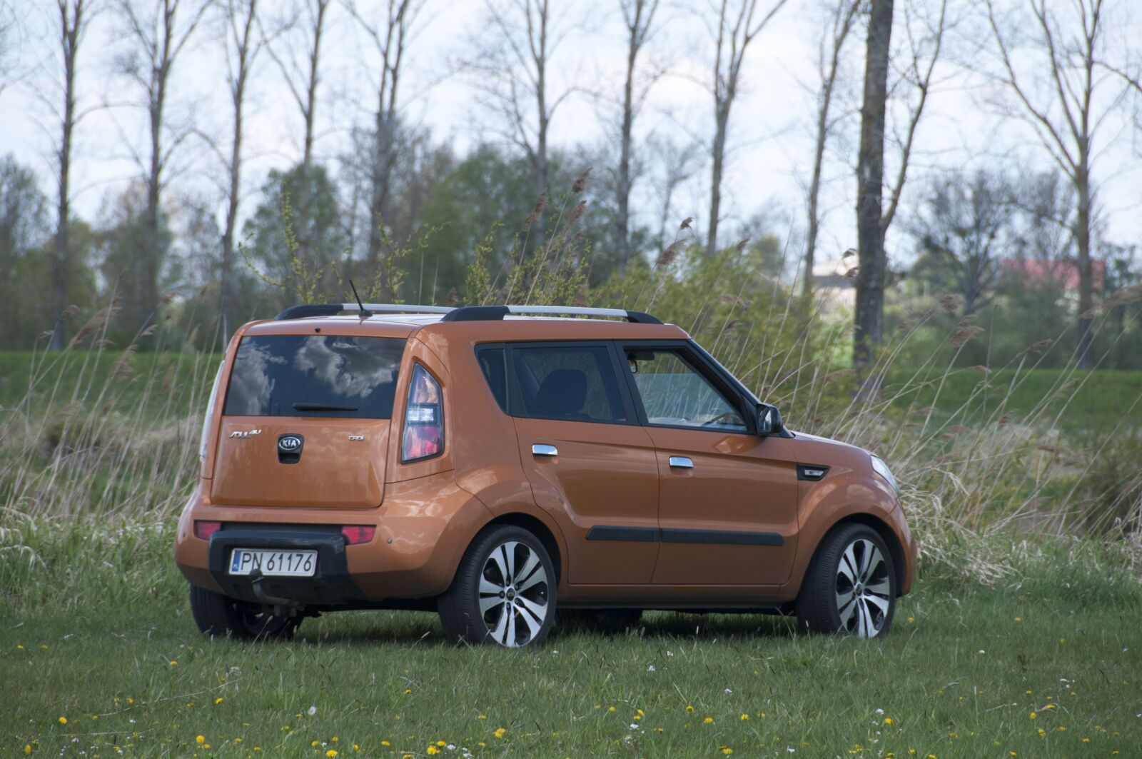 Nikon D300 sample photo. Car, kia soul, gold photography