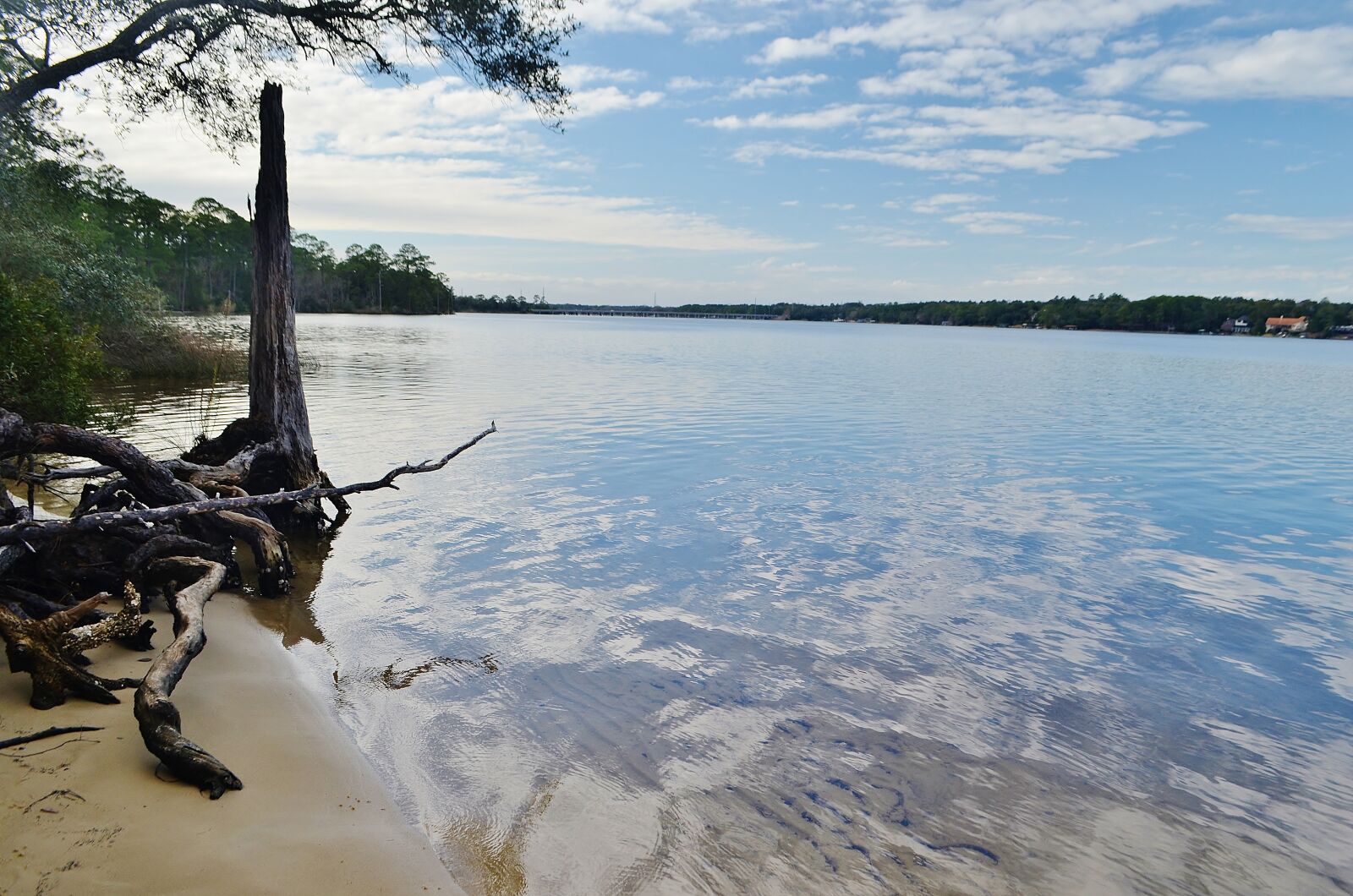 Nikon D5100 sample photo. Florida, usa, gulf coast photography