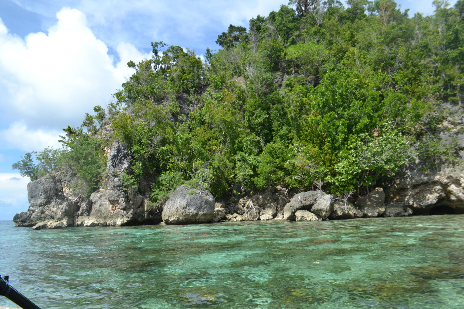 Nikon D3100 sample photo