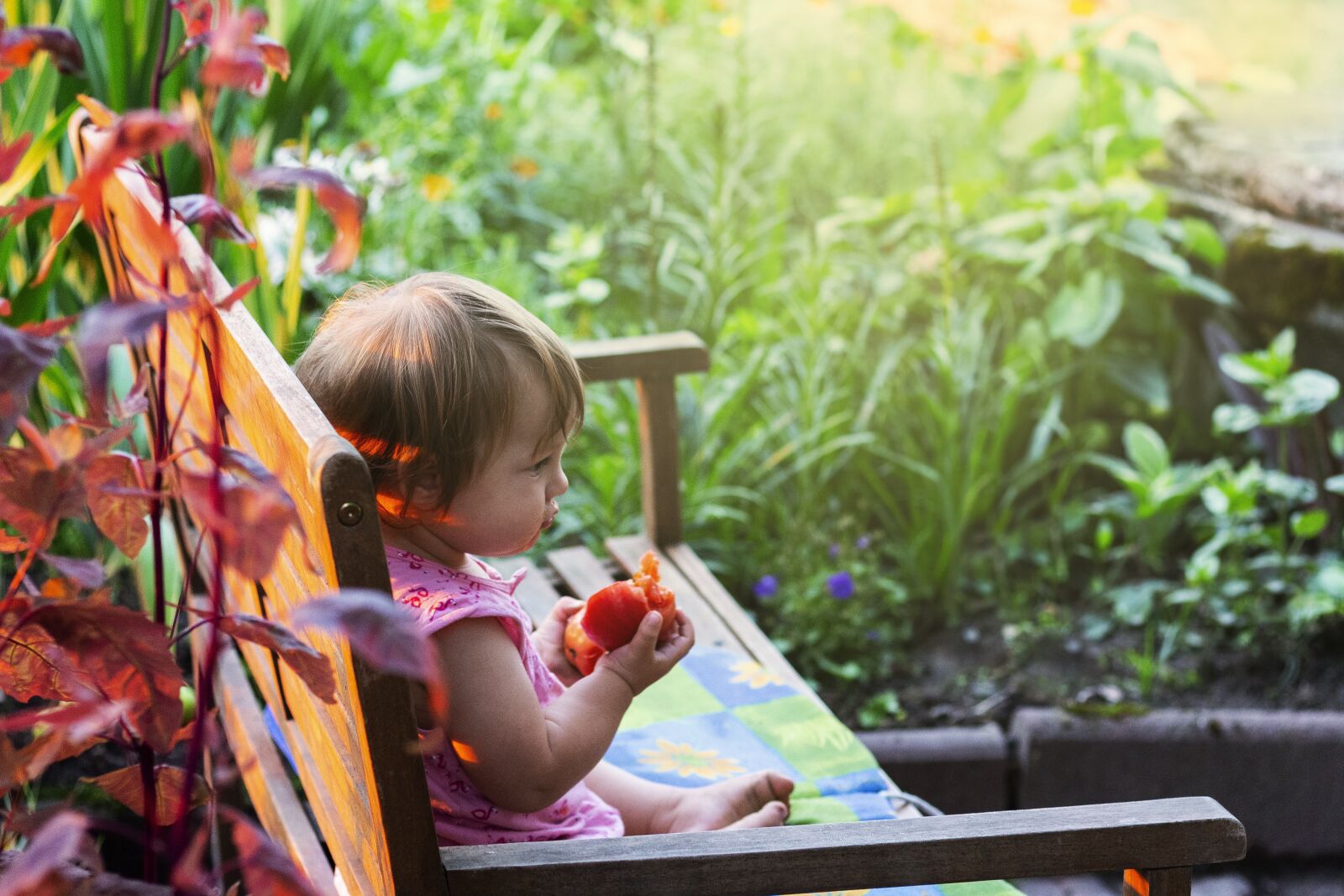 Canon EOS 700D (EOS Rebel T5i / EOS Kiss X7i) + Canon EF 50mm F1.8 STM sample photo. Child, sunset, girl photography