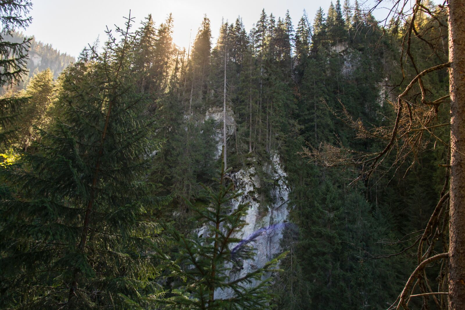 Nikon D7100 sample photo. Tatry, ko cieliska valley photography