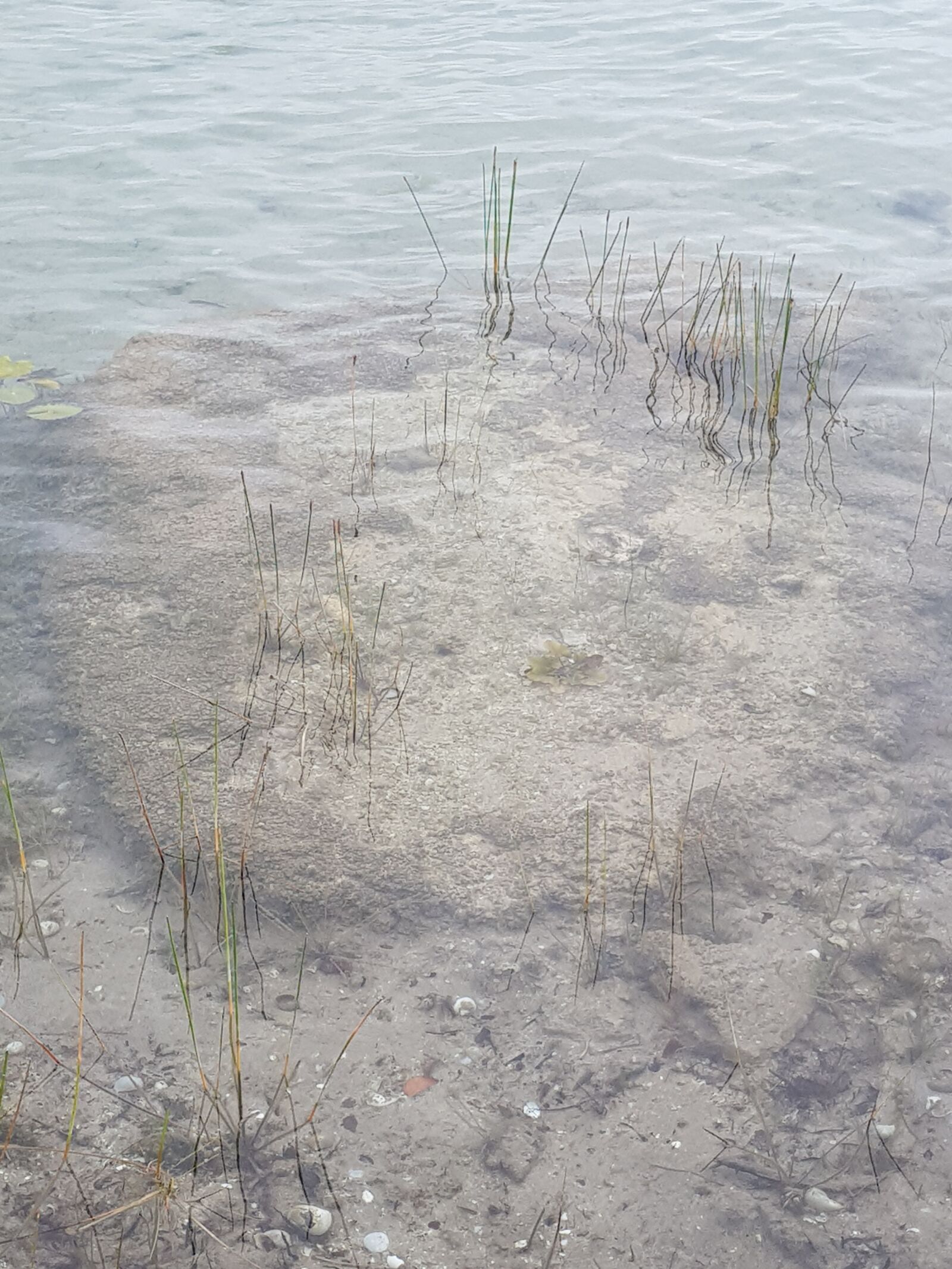 Samsung Galaxy S8+ sample photo. Estomatrolitos, bacalar, seven photography