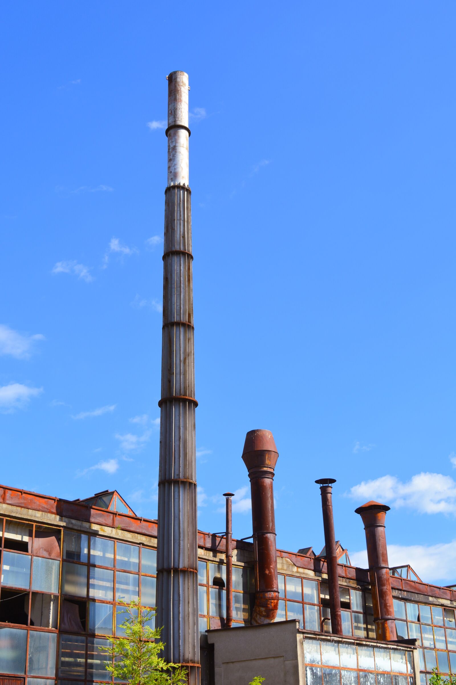 Nikon D5200 sample photo. Plant, old, ruin photography
