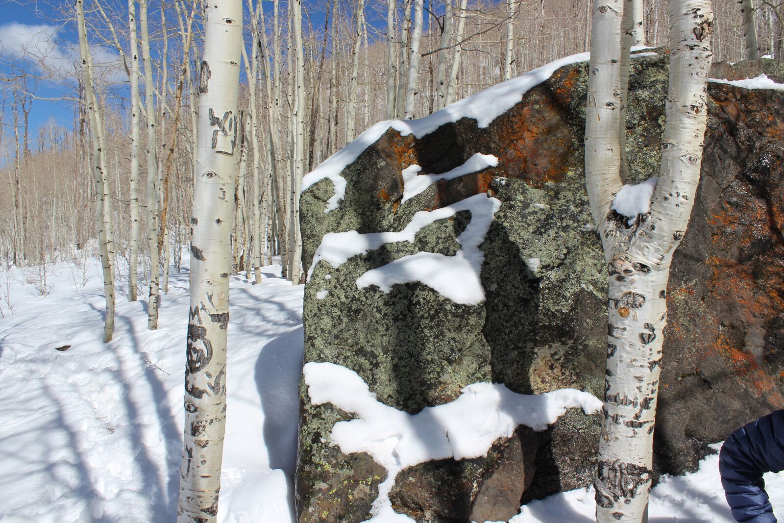 Canon EOS 1300D (EOS Rebel T6 / EOS Kiss X80) sample photo. Rock, nature, winter photography