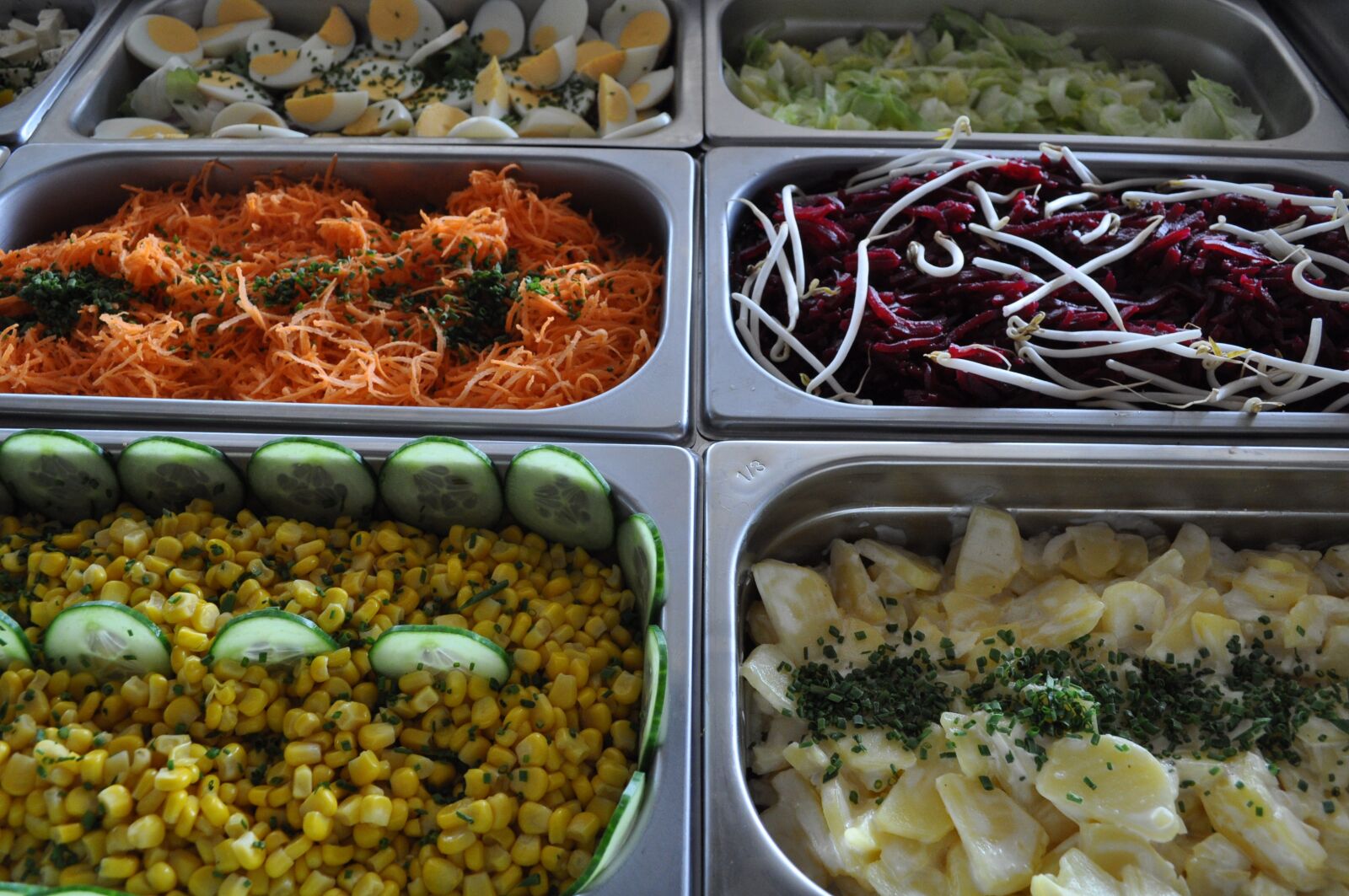 Nikon D5000 sample photo. Eat, salad buffet, meal photography