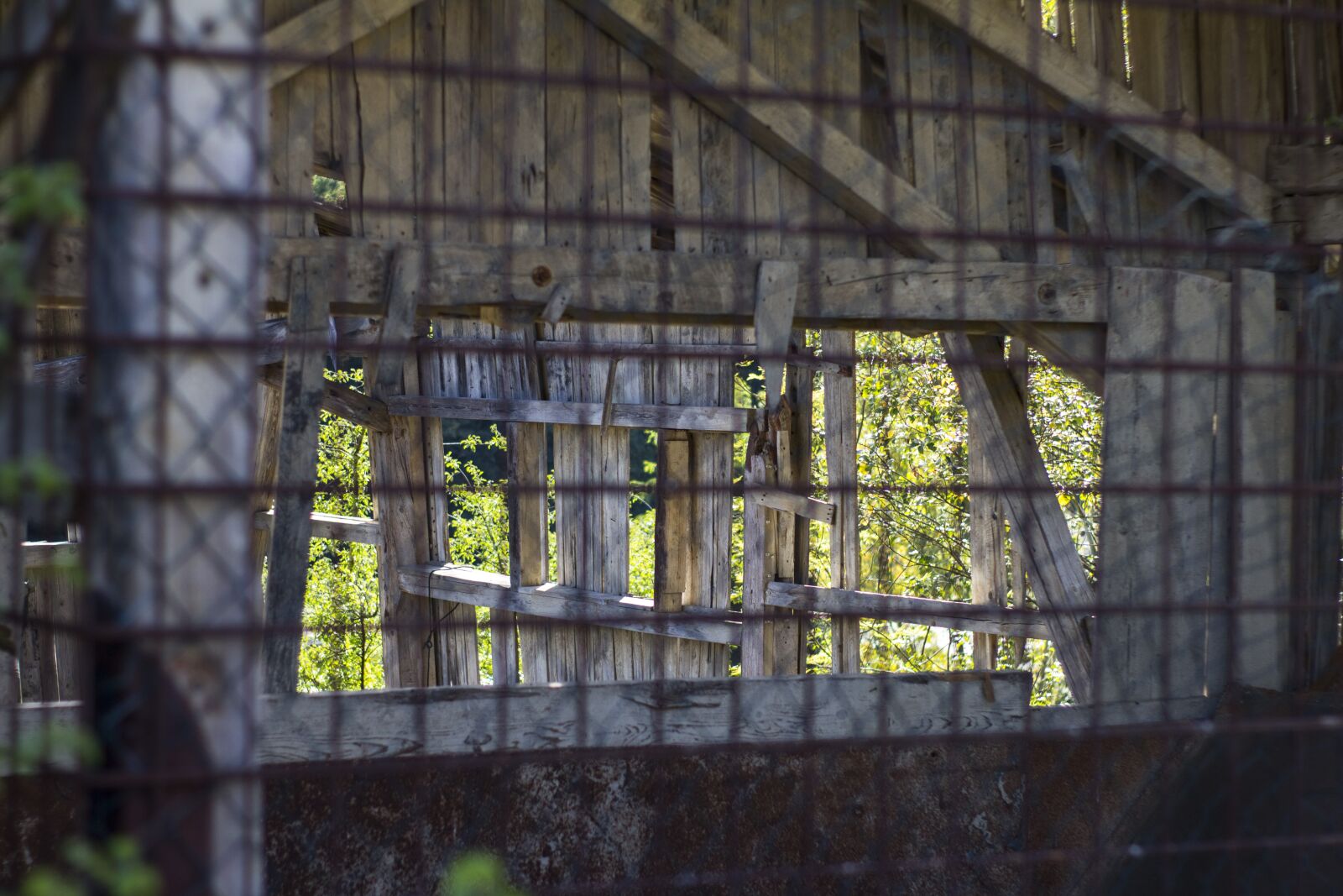 Canon EOS 700D (EOS Rebel T5i / EOS Kiss X7i) sample photo. Abandoned, window, old photography