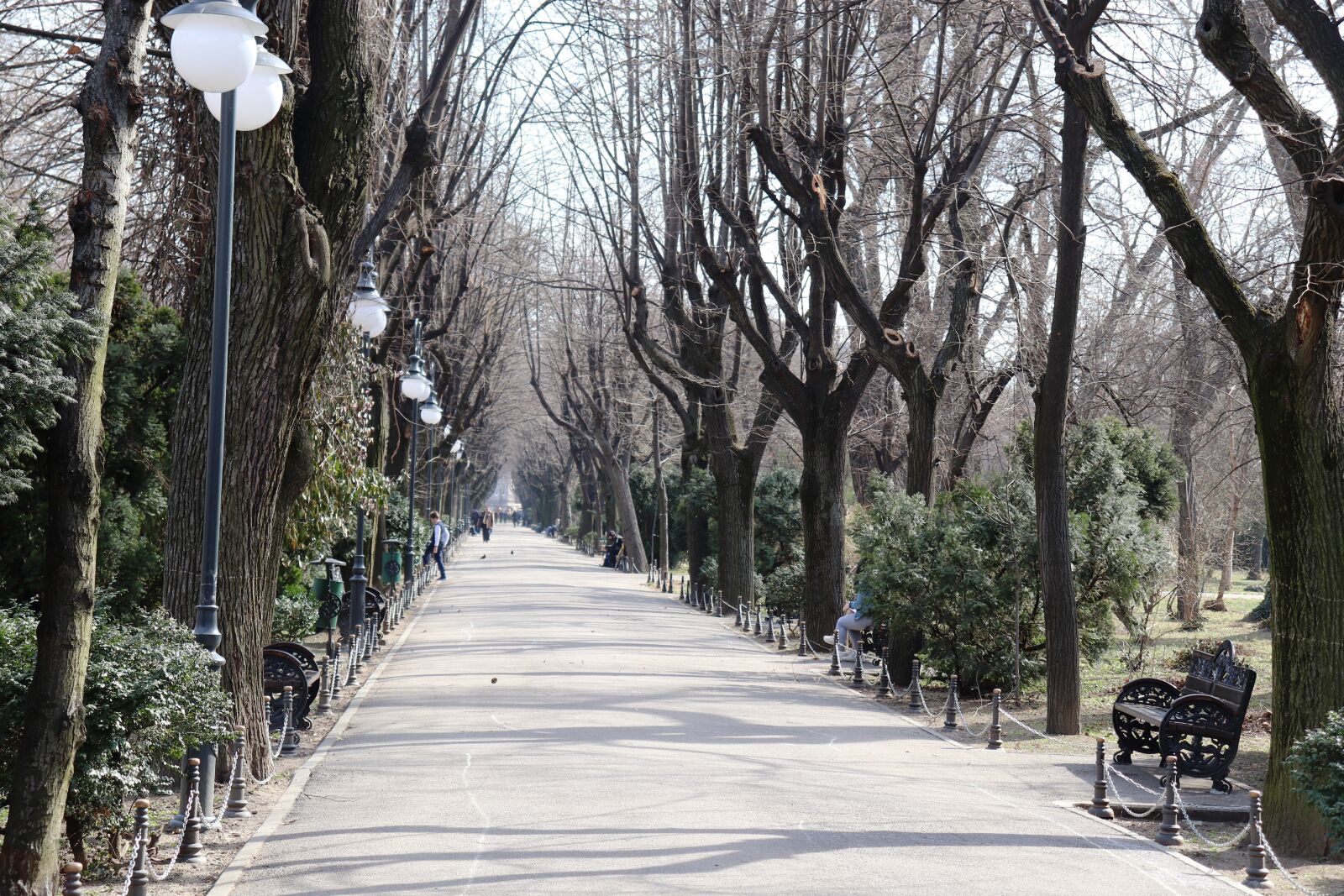 Canon EOS 200D (EOS Rebel SL2 / EOS Kiss X9) sample photo. Park, bucharest, ro photography