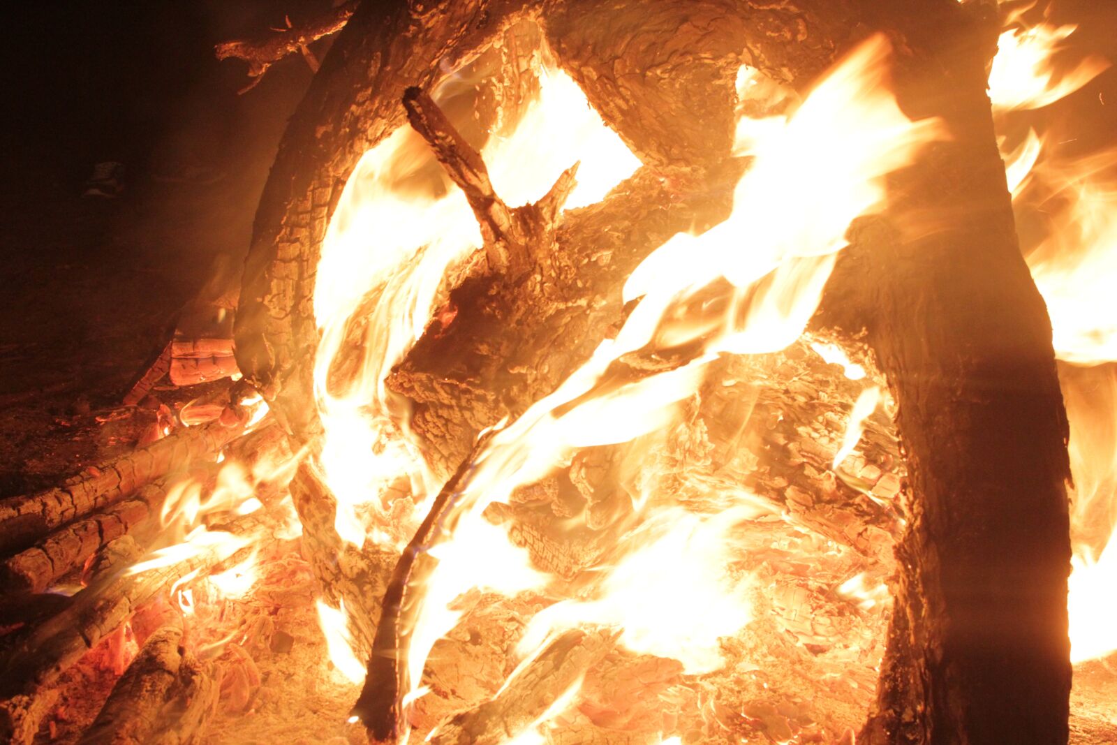 Canon EOS 550D (EOS Rebel T2i / EOS Kiss X4) sample photo. Camp, fire, blind photography