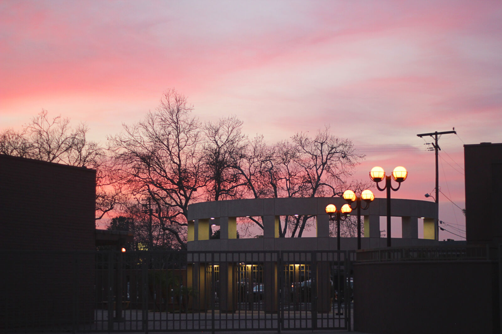 Canon EOS 550D (EOS Rebel T2i / EOS Kiss X4) sample photo. Pink, sky photography