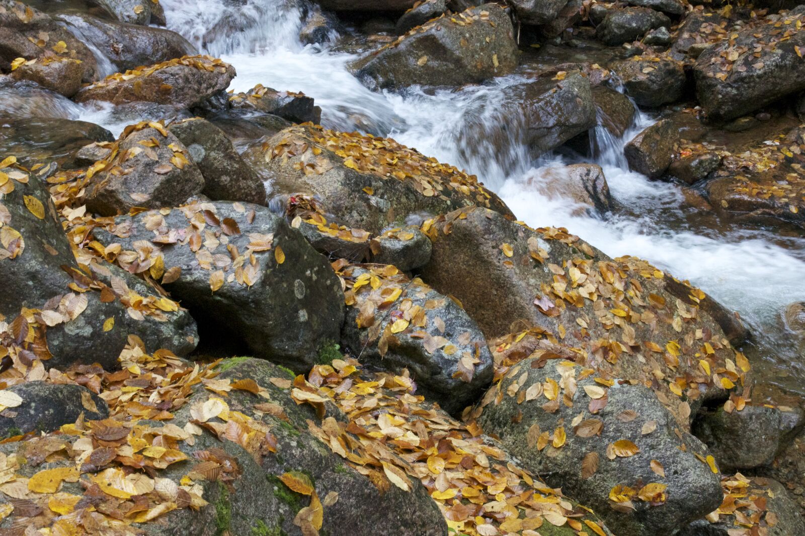 Canon EOS 550D (EOS Rebel T2i / EOS Kiss X4) + Tamron SP AF 17-50mm F2.8 XR Di II LD Aspherical (IF) sample photo. Rocks, stream, fall, foliage photography