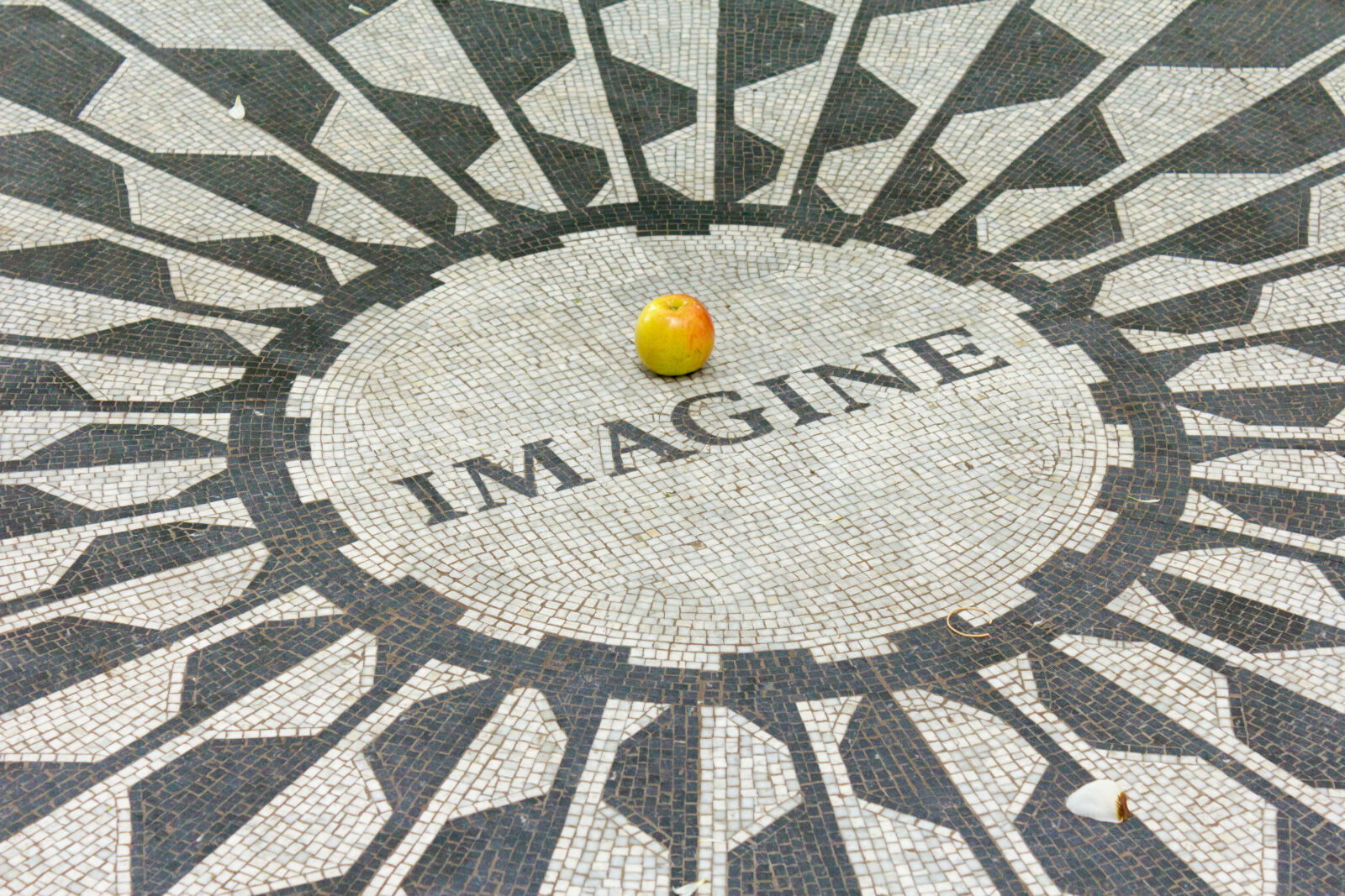 Canon EOS 550D (EOS Rebel T2i / EOS Kiss X4) sample photo. Imagine, new, york photography