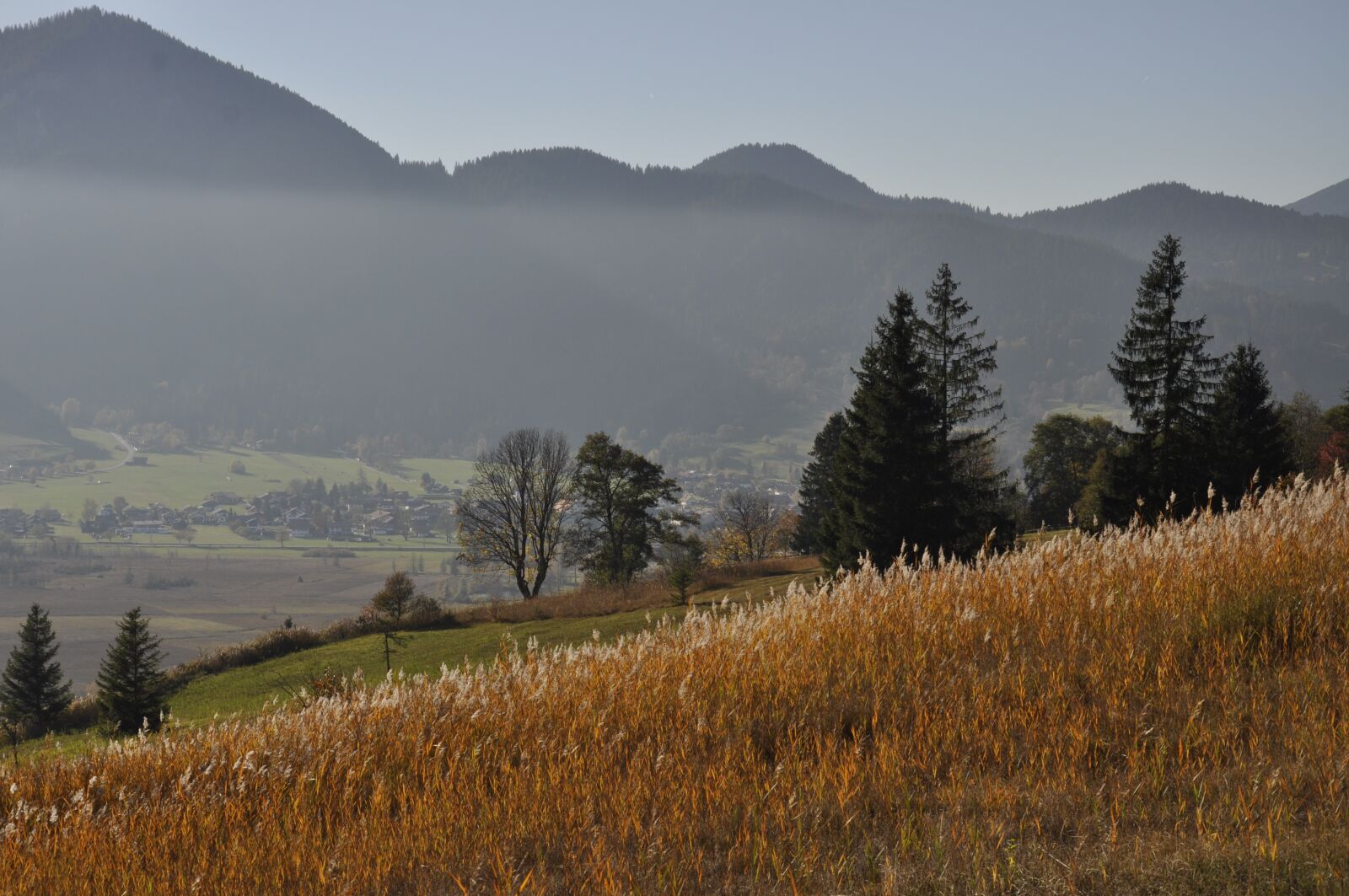 Nikon D5000 sample photo. Autumn, sun, landscape photography