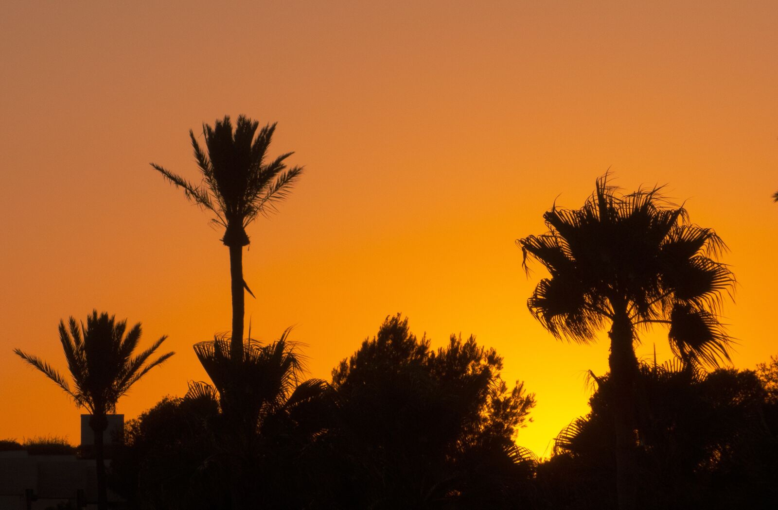 Panasonic Lumix DMC-FZ300 sample photo. Sunset, light, mood photography