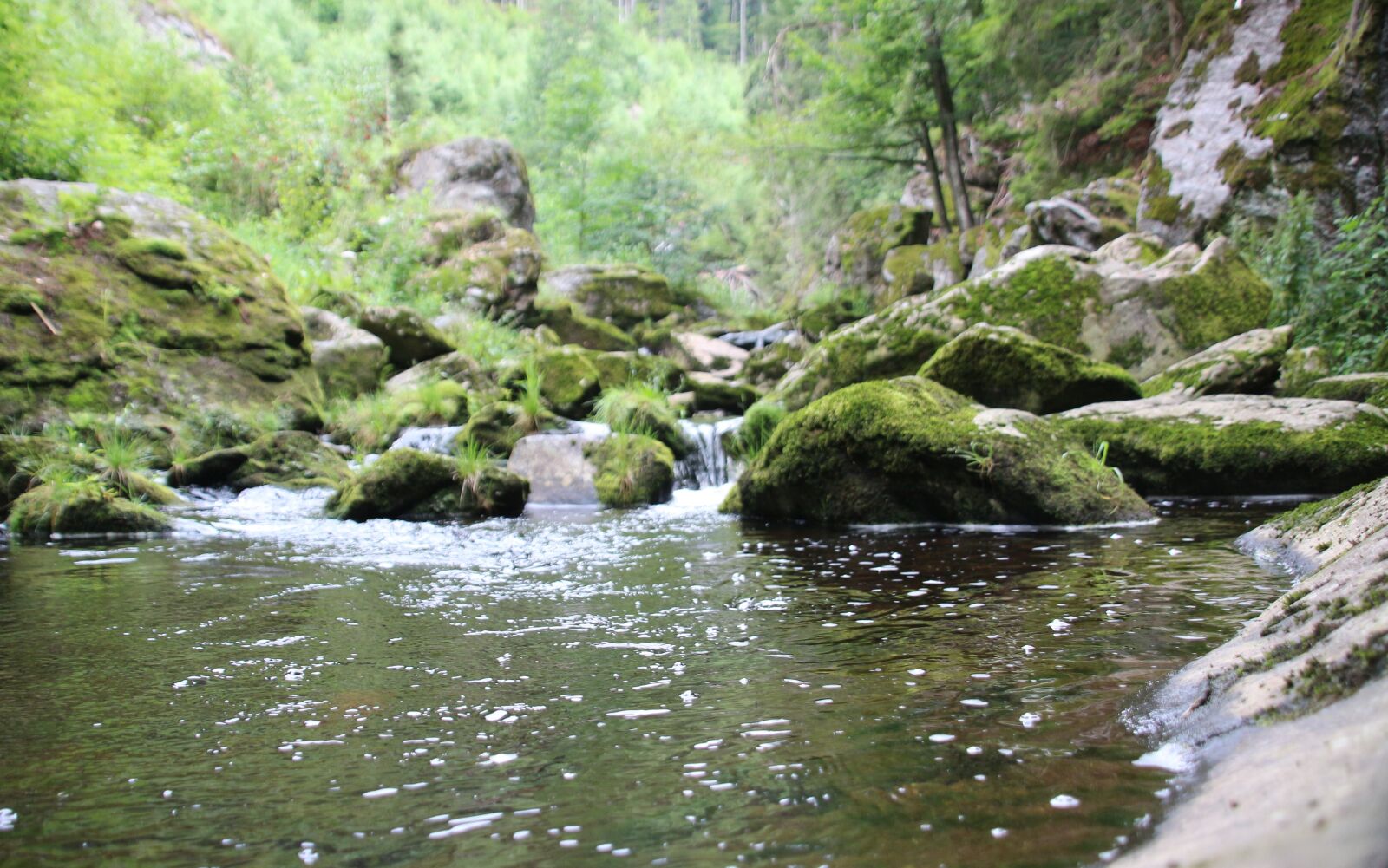 Canon EOS 650D (EOS Rebel T4i / EOS Kiss X6i) sample photo. Nature, water, wet photography