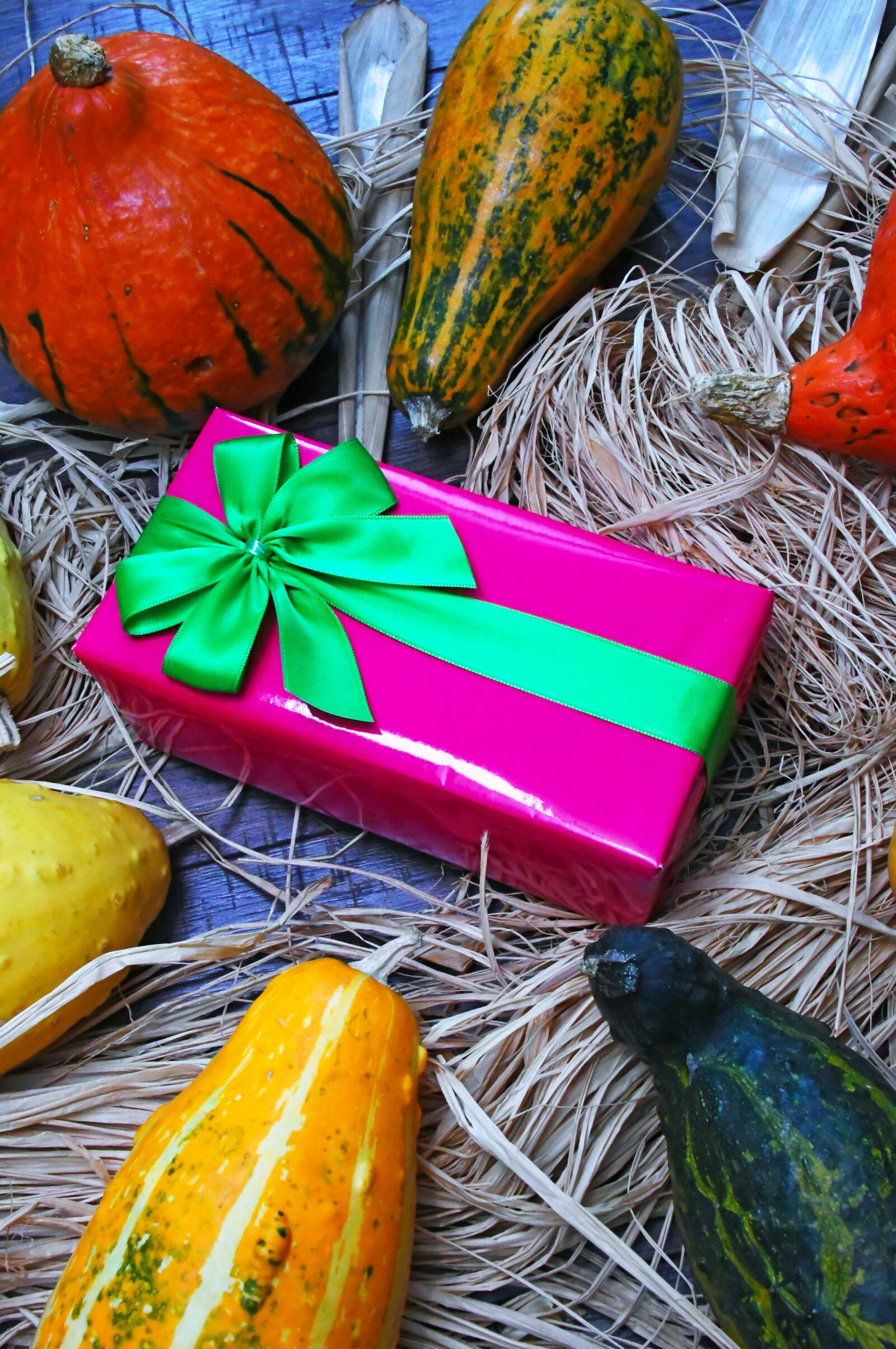 Nikon D3200 sample photo. Autumn, autumn mood, packaging photography
