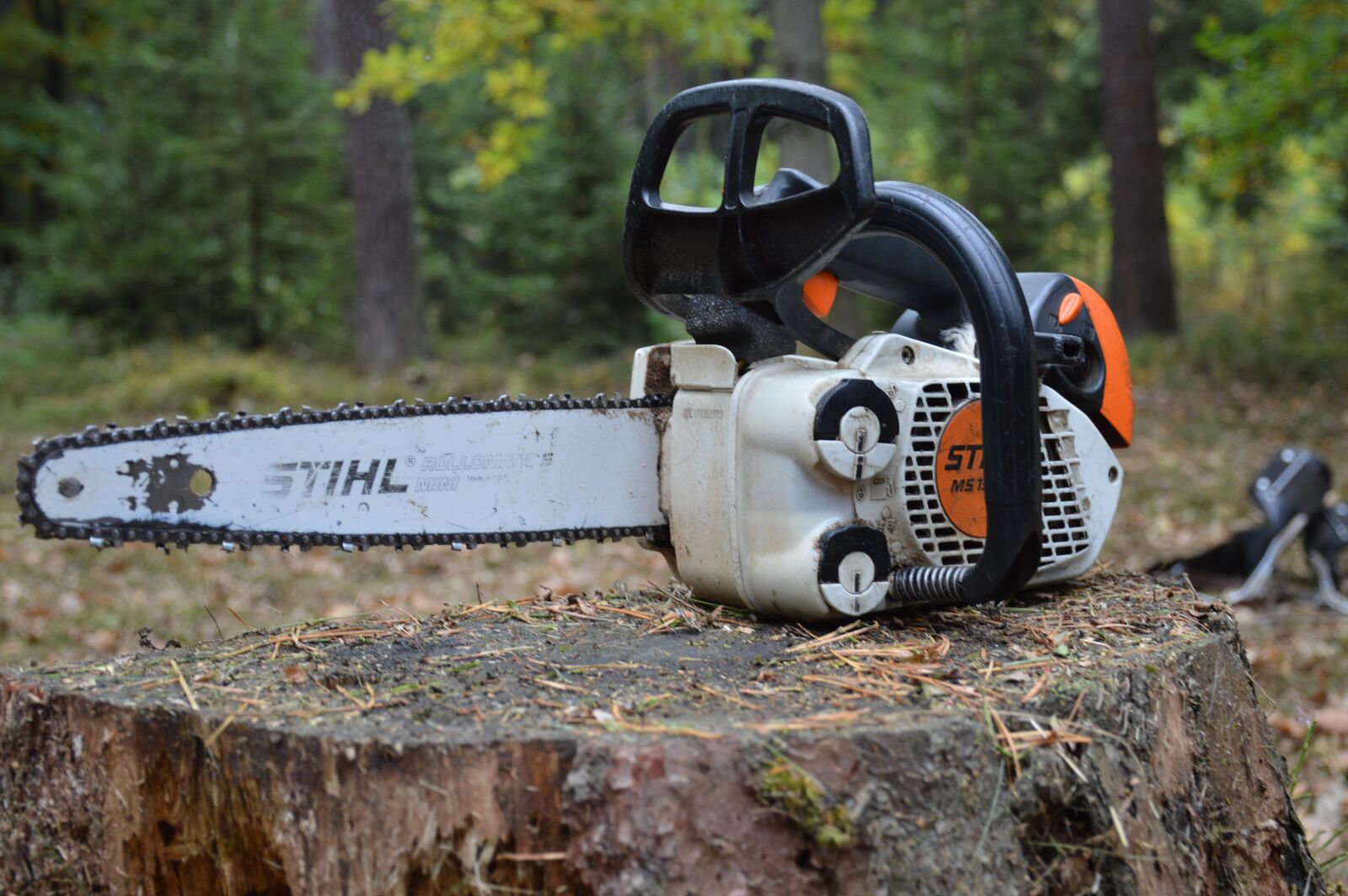 Nikon D3200 sample photo. Pila, small sawmill, chainsaw photography