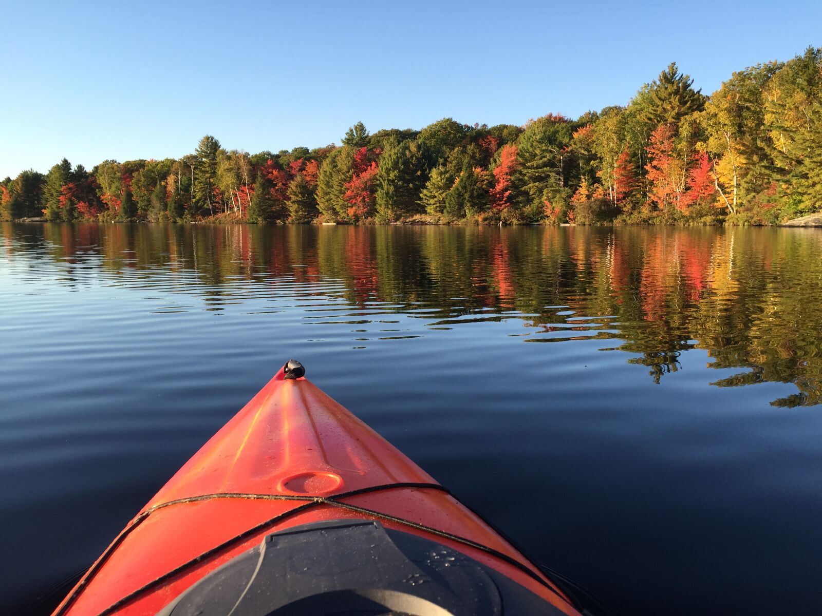 iPhone 6 back camera 4.15mm f/2.2 sample photo. Kayak, summer, fall photography