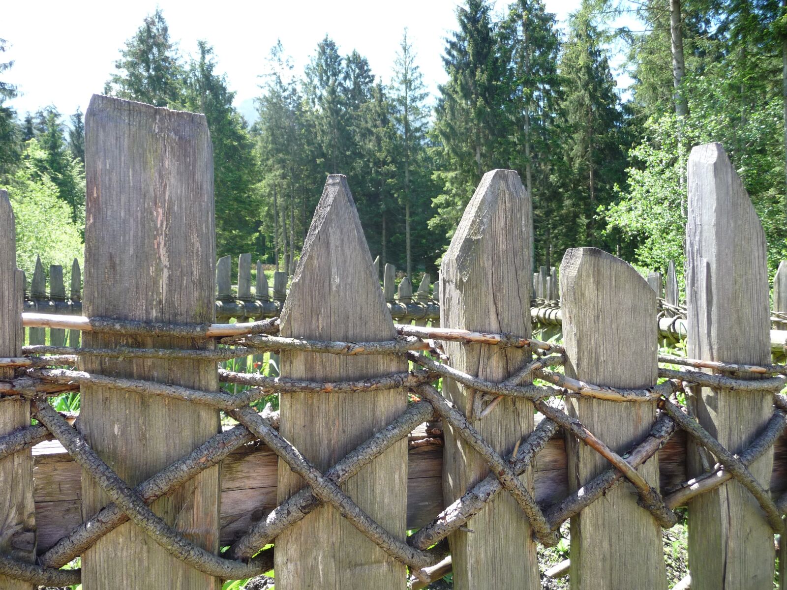 Panasonic Lumix DMC-TZ5 sample photo. Fence, wood, weathered photography