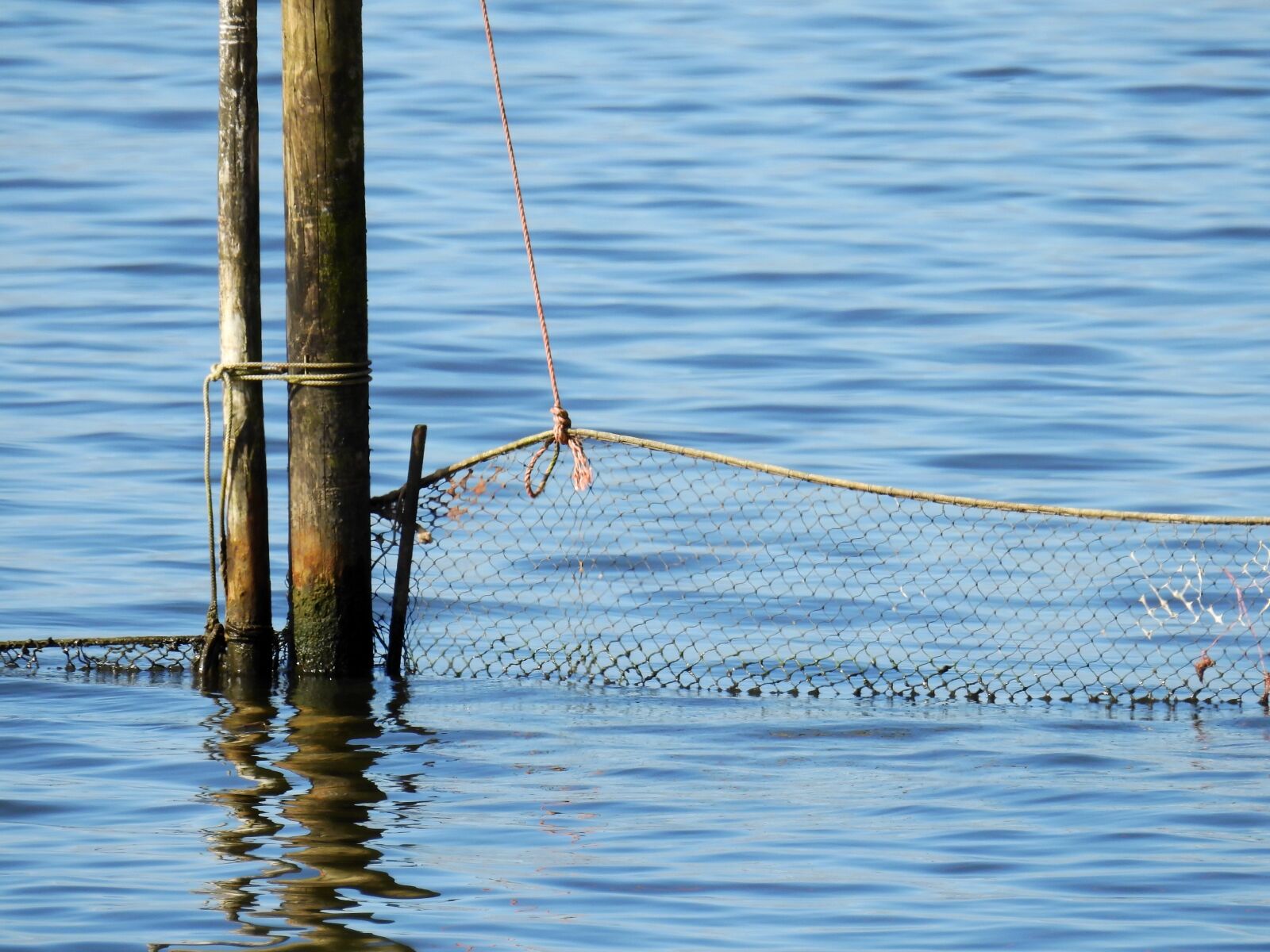 Nikon Coolpix P900 sample photo. Lake, sea, water photography