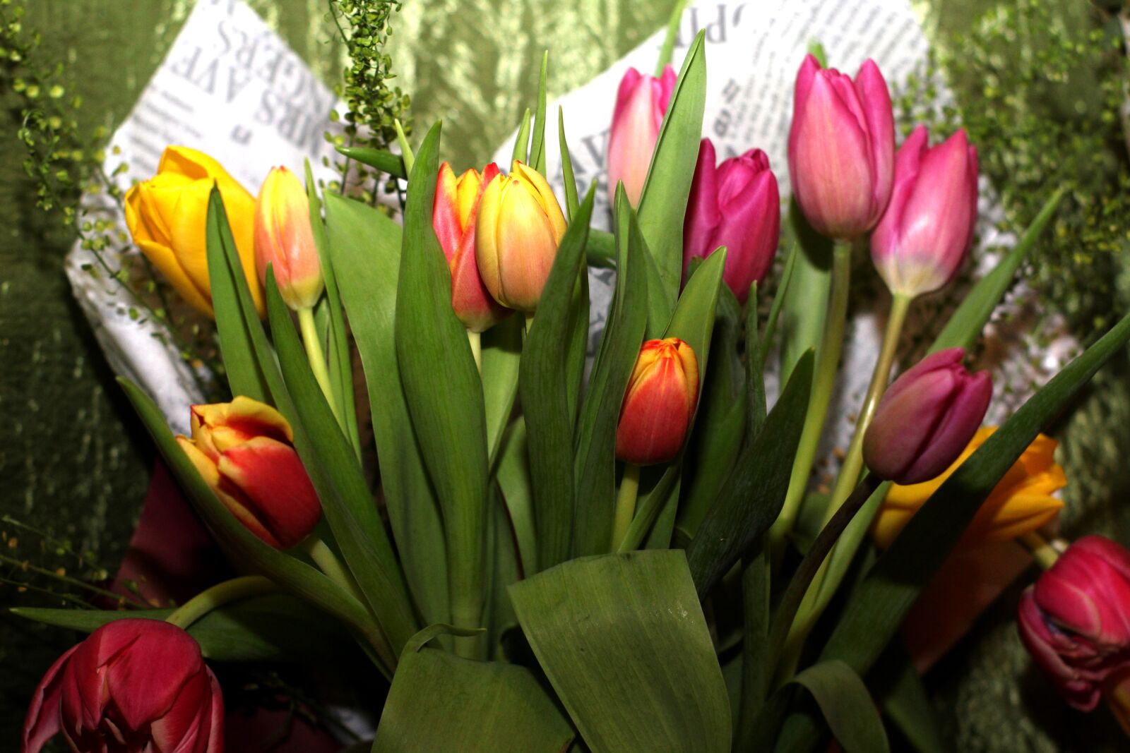 Canon EOS 1200D (EOS Rebel T5 / EOS Kiss X70 / EOS Hi) sample photo. Women's day, 8 march, flower photography