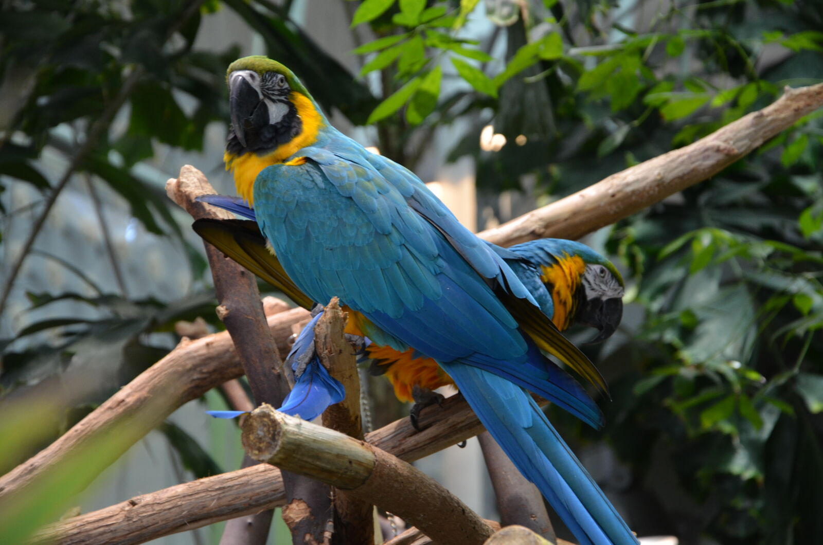 Nikon D7000 sample photo