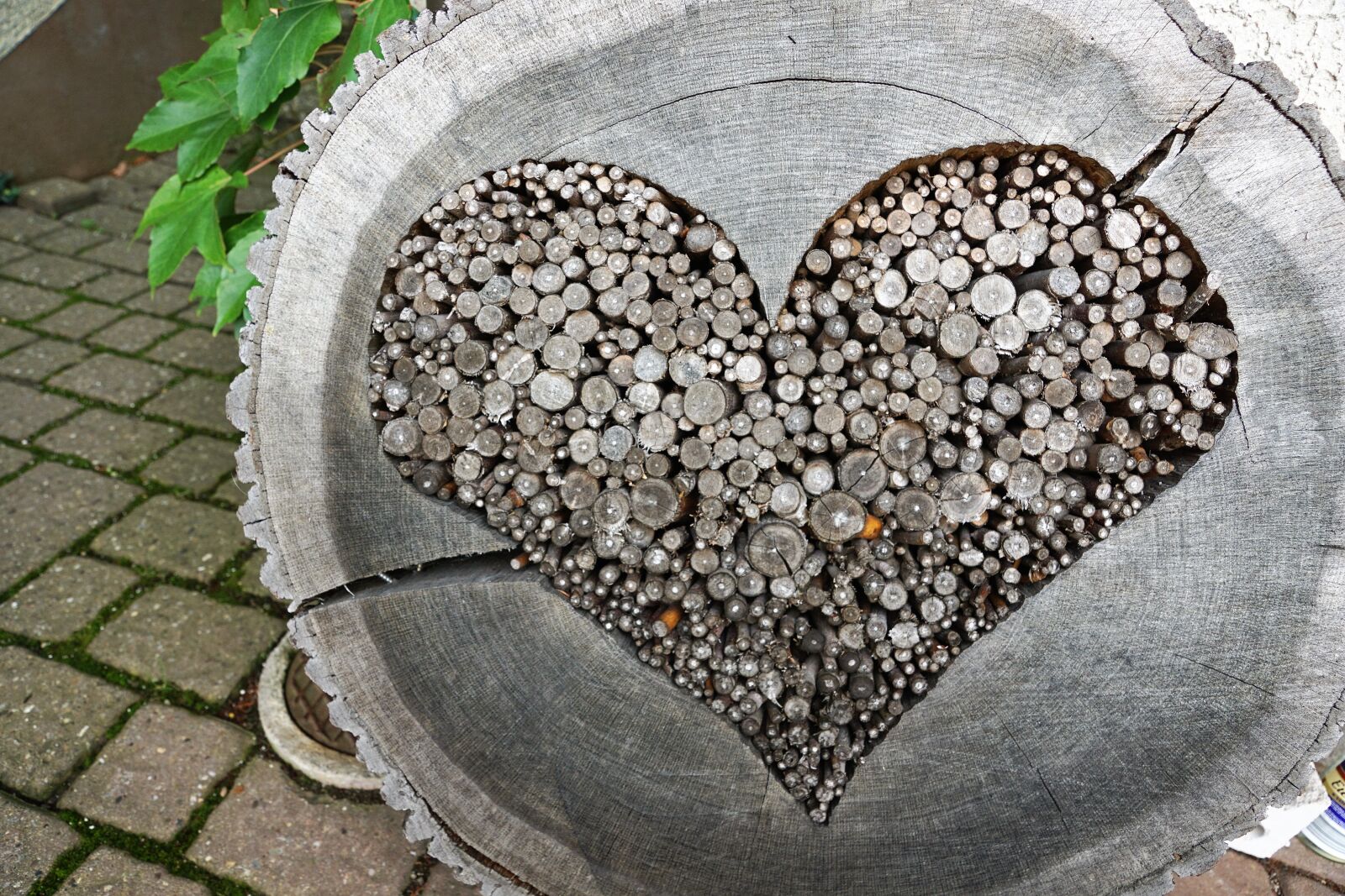 Sony ILCA-77M2 + Sony DT 16-50mm F2.8 SSM sample photo. Heart, wood, love photography
