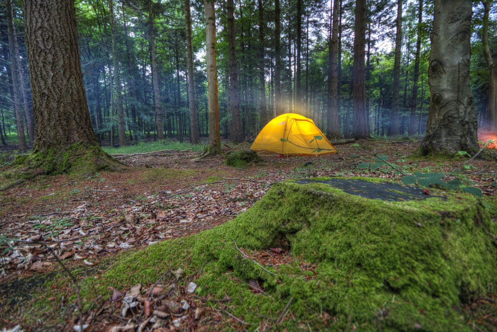 Canon EOS 760D (EOS Rebel T6s / EOS 8000D) sample photo. Camping, tent, wilderness photography