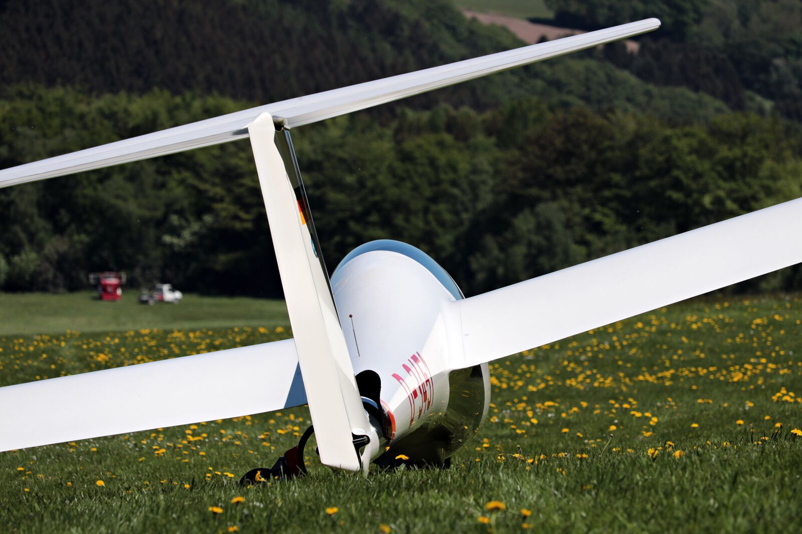 Canon EF-S 55-250mm F4-5.6 IS STM sample photo. Glider, meadow, flying photography