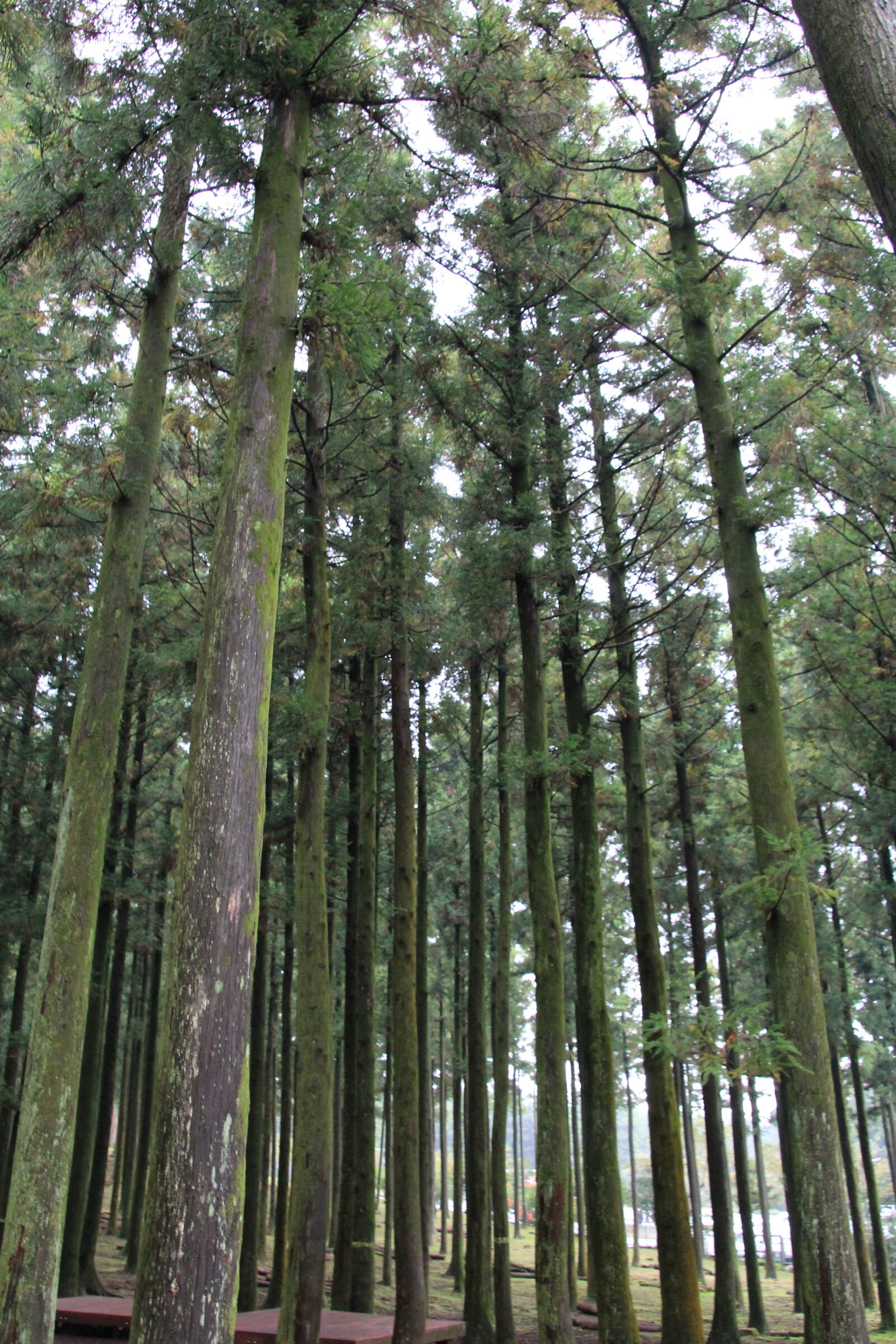 Canon EOS 60D sample photo
